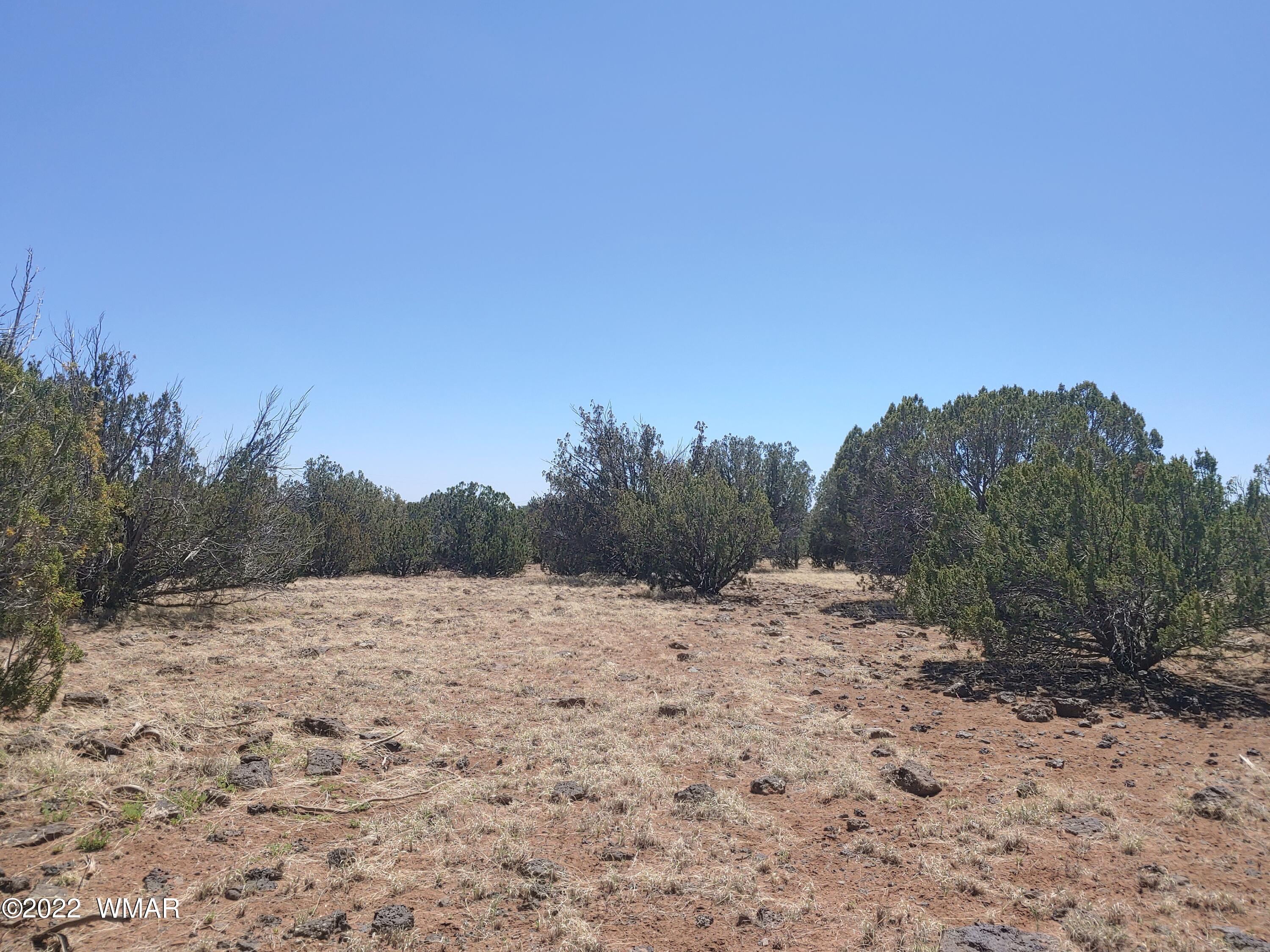 Tbd Weber Way Show Low, AZ 85901 - Photo 12 of 19
