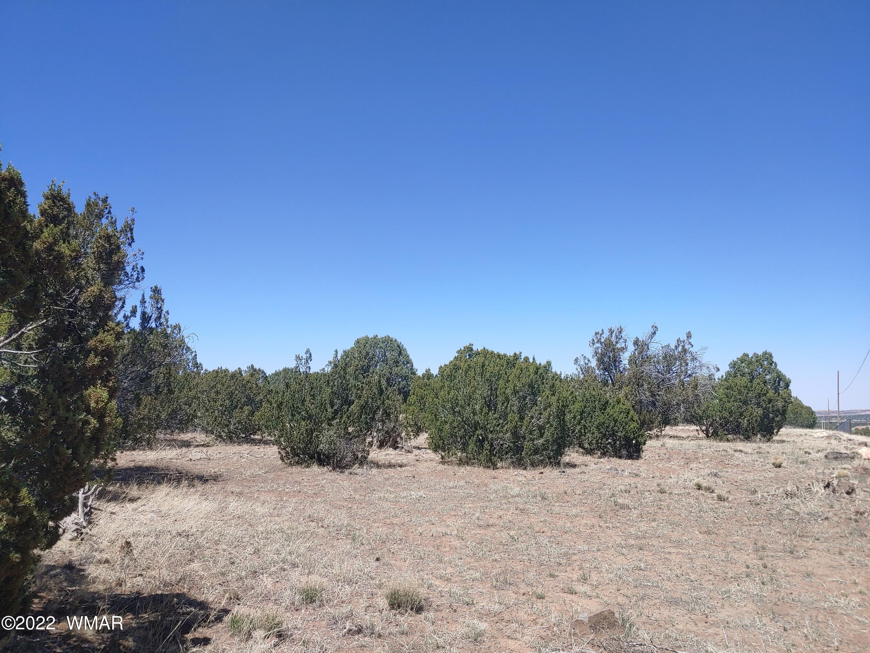 Tbd Weber Way Show Low, AZ 85901 - Photo 14 of 19