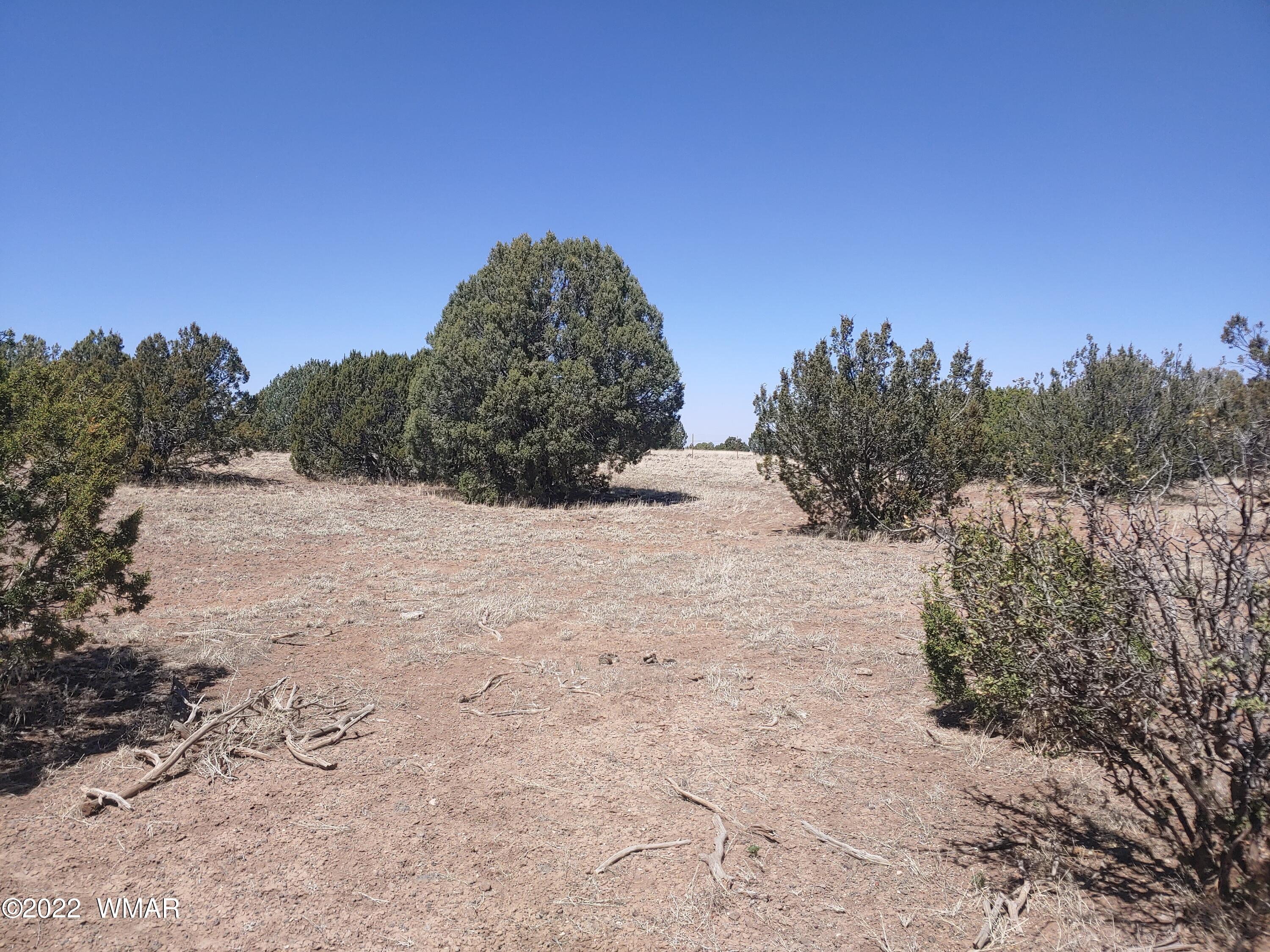 Tbd Weber Way Show Low, AZ 85901 - Photo 2 of 19