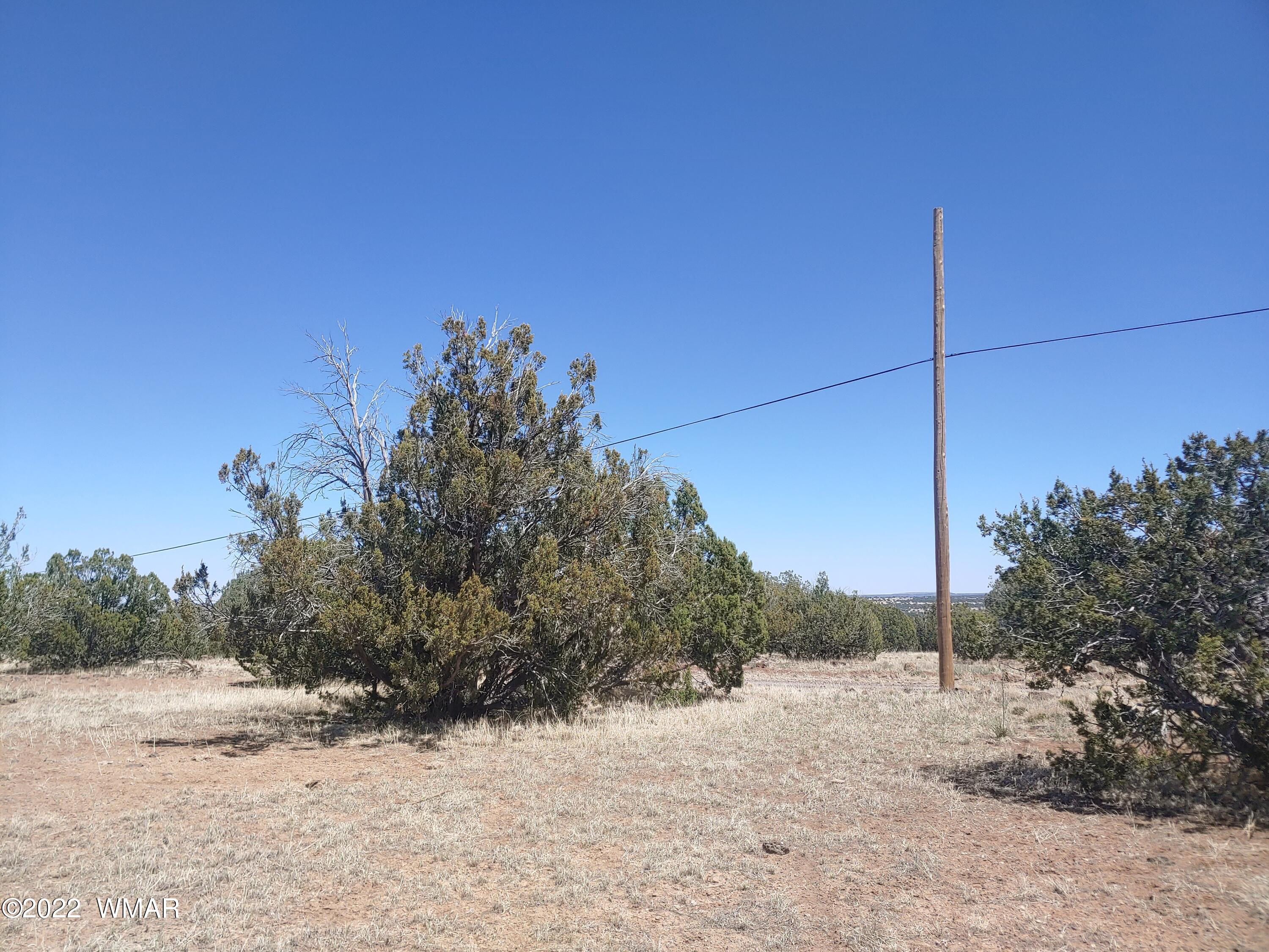 Tbd Weber Way Show Low, AZ 85901 - Photo 3 of 19
