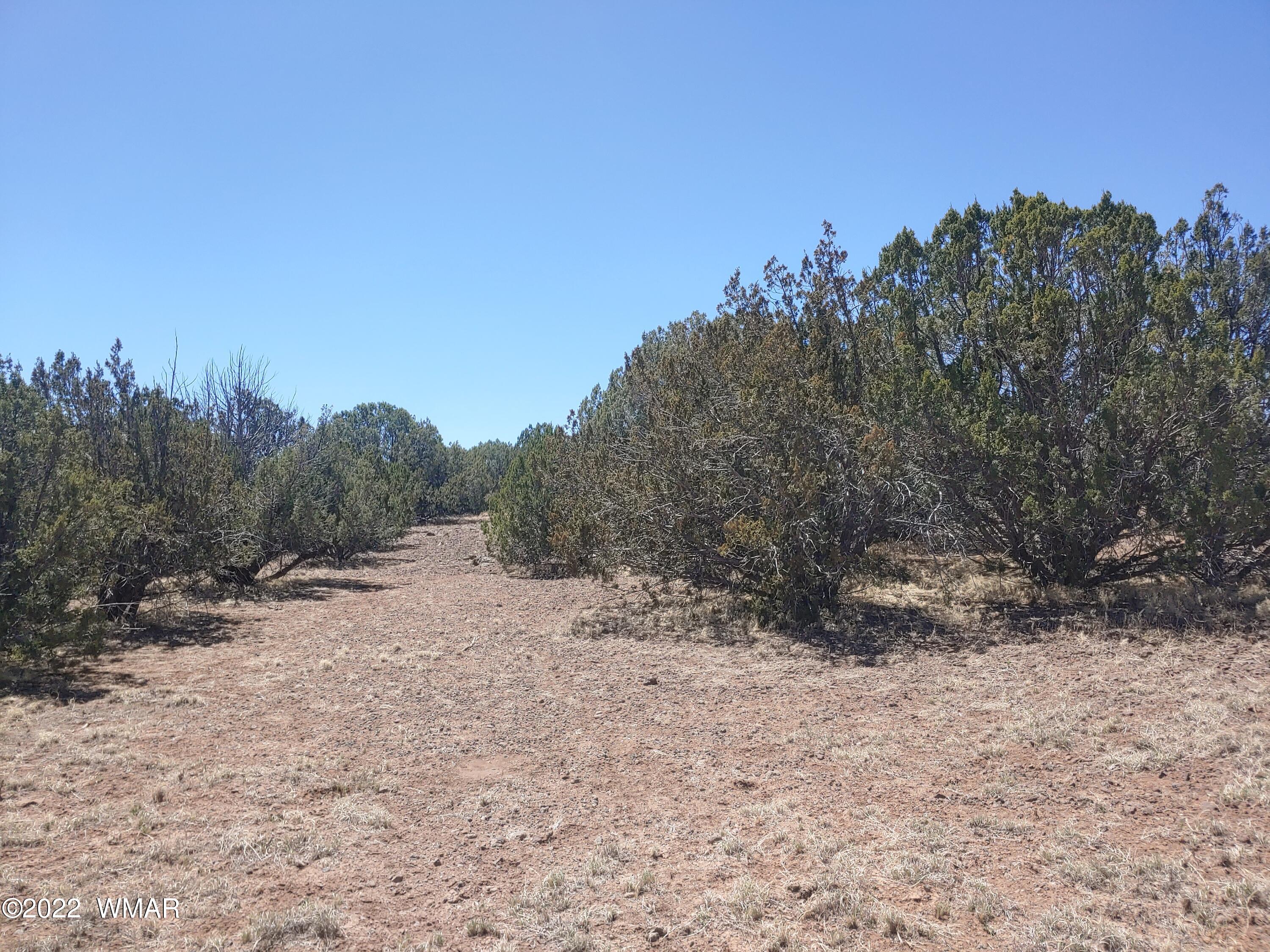 Tbd Weber Way Show Low, AZ 85901 - Photo 4 of 19