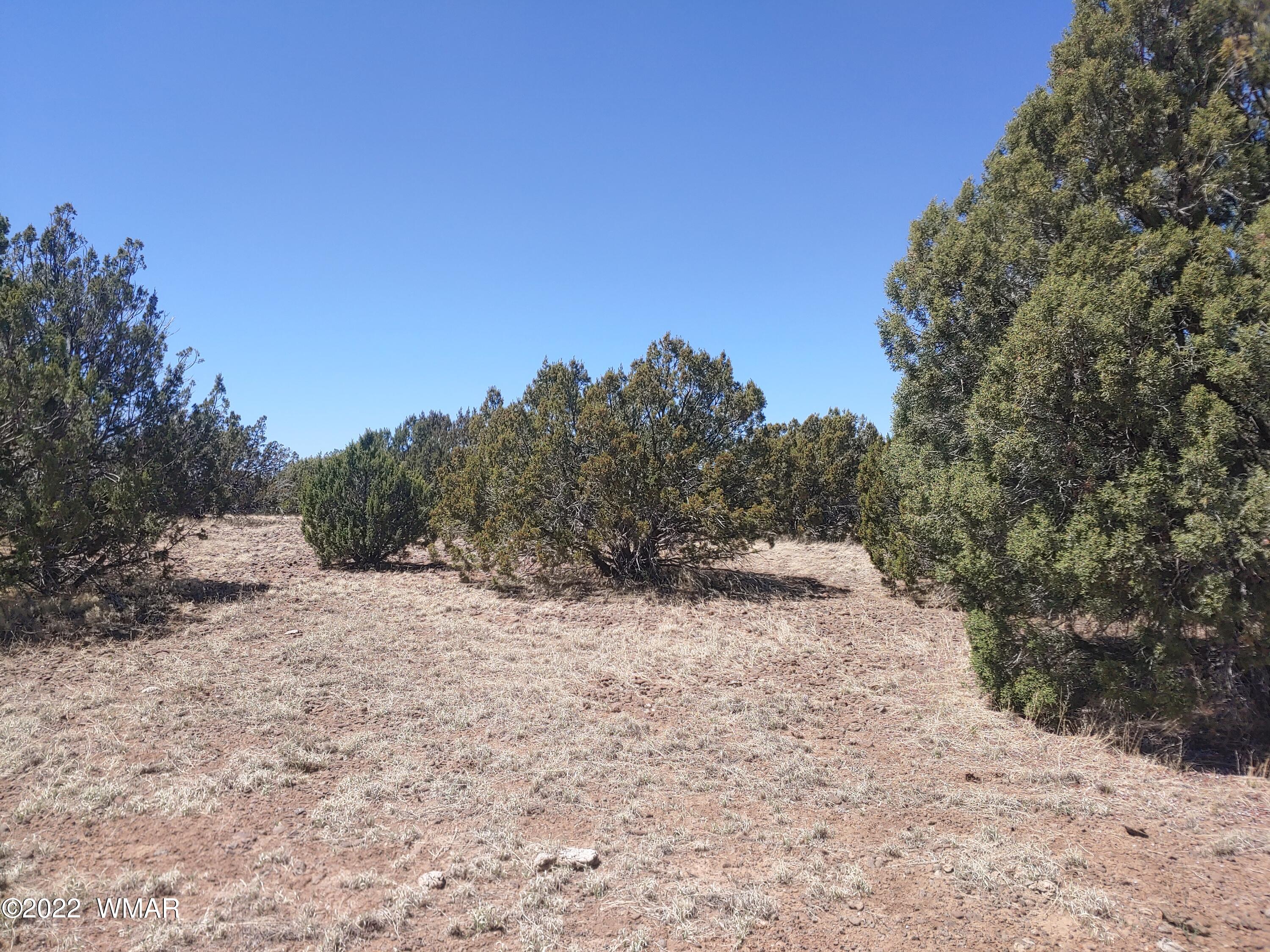 Tbd Weber Way Show Low, AZ 85901 - Photo 5 of 19