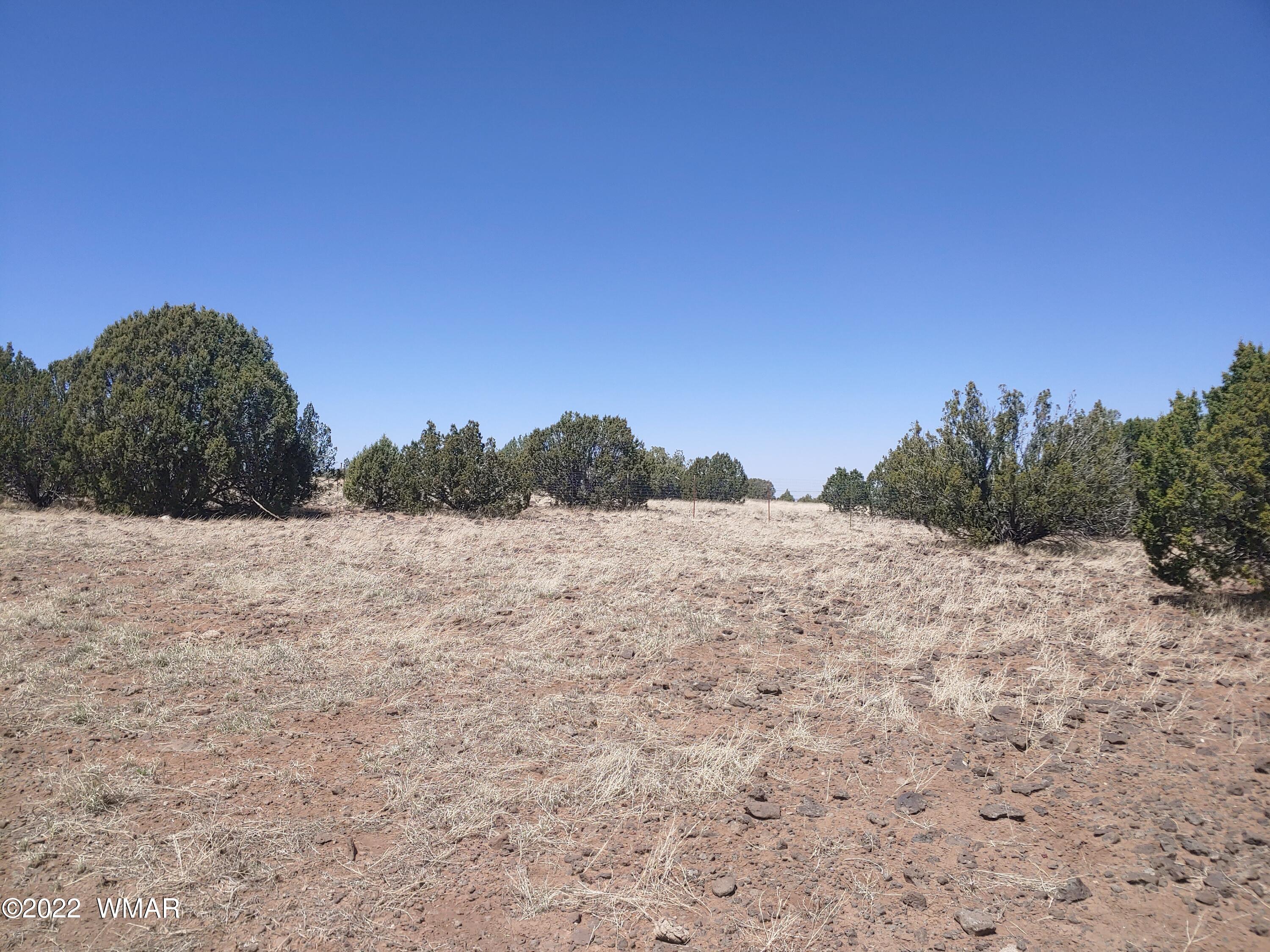 Tbd Weber Way Show Low, AZ 85901 - Photo 6 of 19