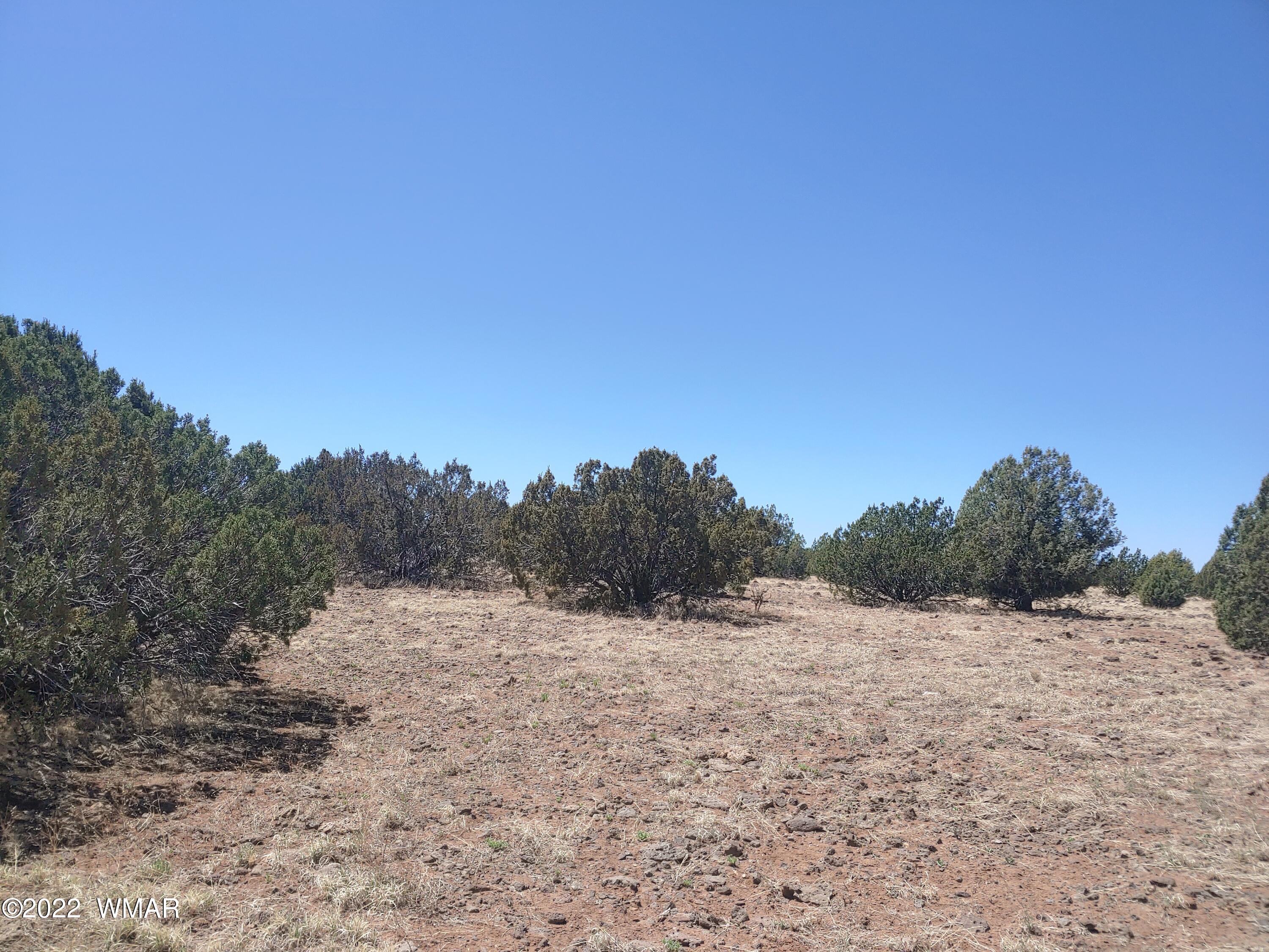 Tbd Weber Way Show Low, AZ 85901 - Photo 7 of 19