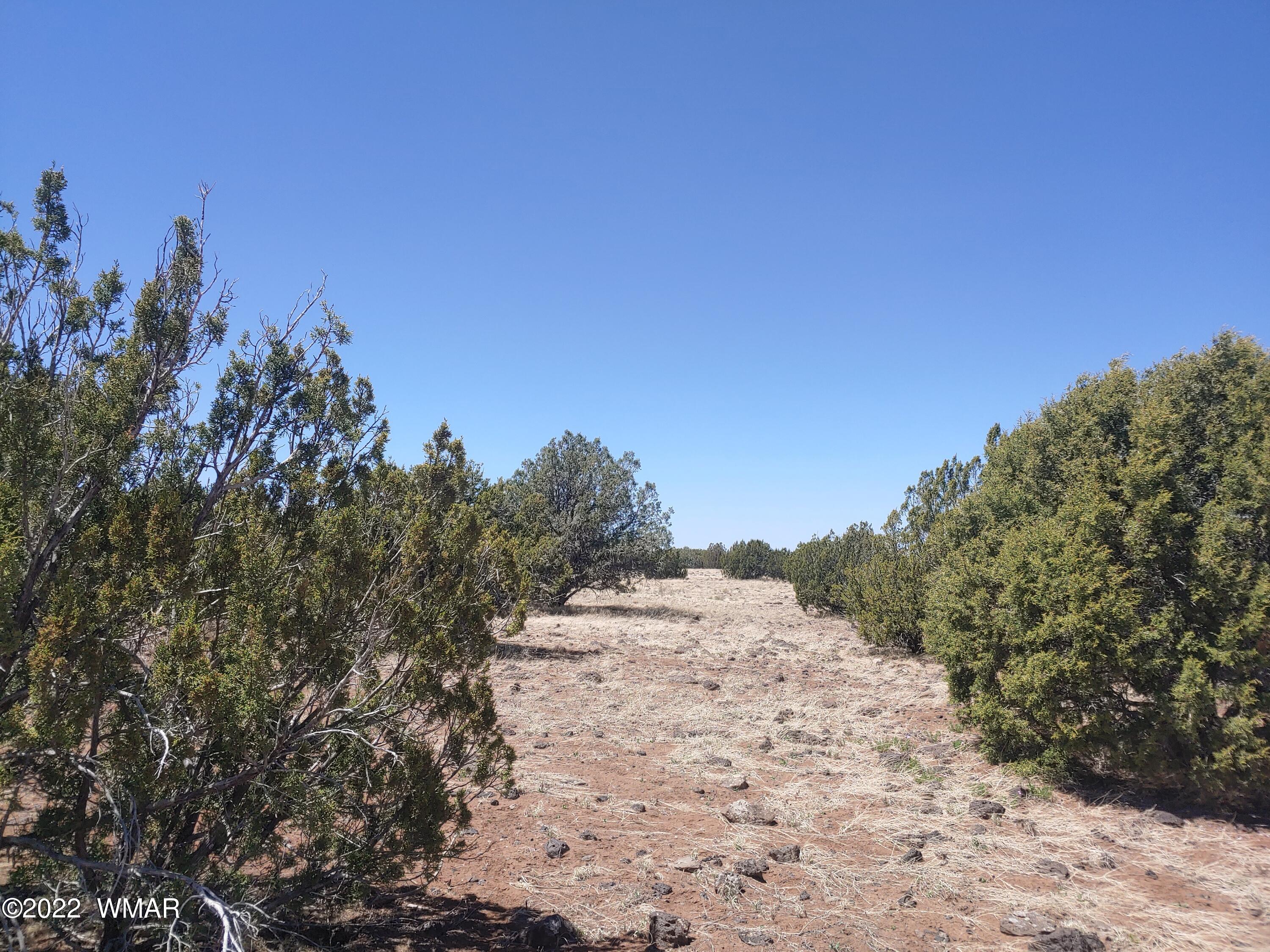 Tbd Weber Way Show Low, AZ 85901 - Photo 8 of 19