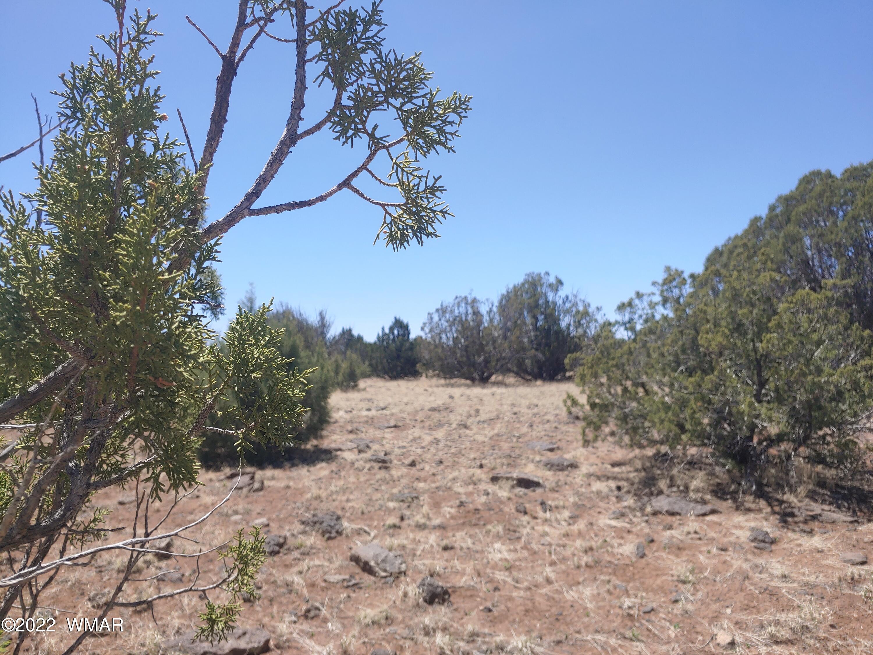 Tbd Weber Way Show Low, AZ 85901 - Photo 9 of 19