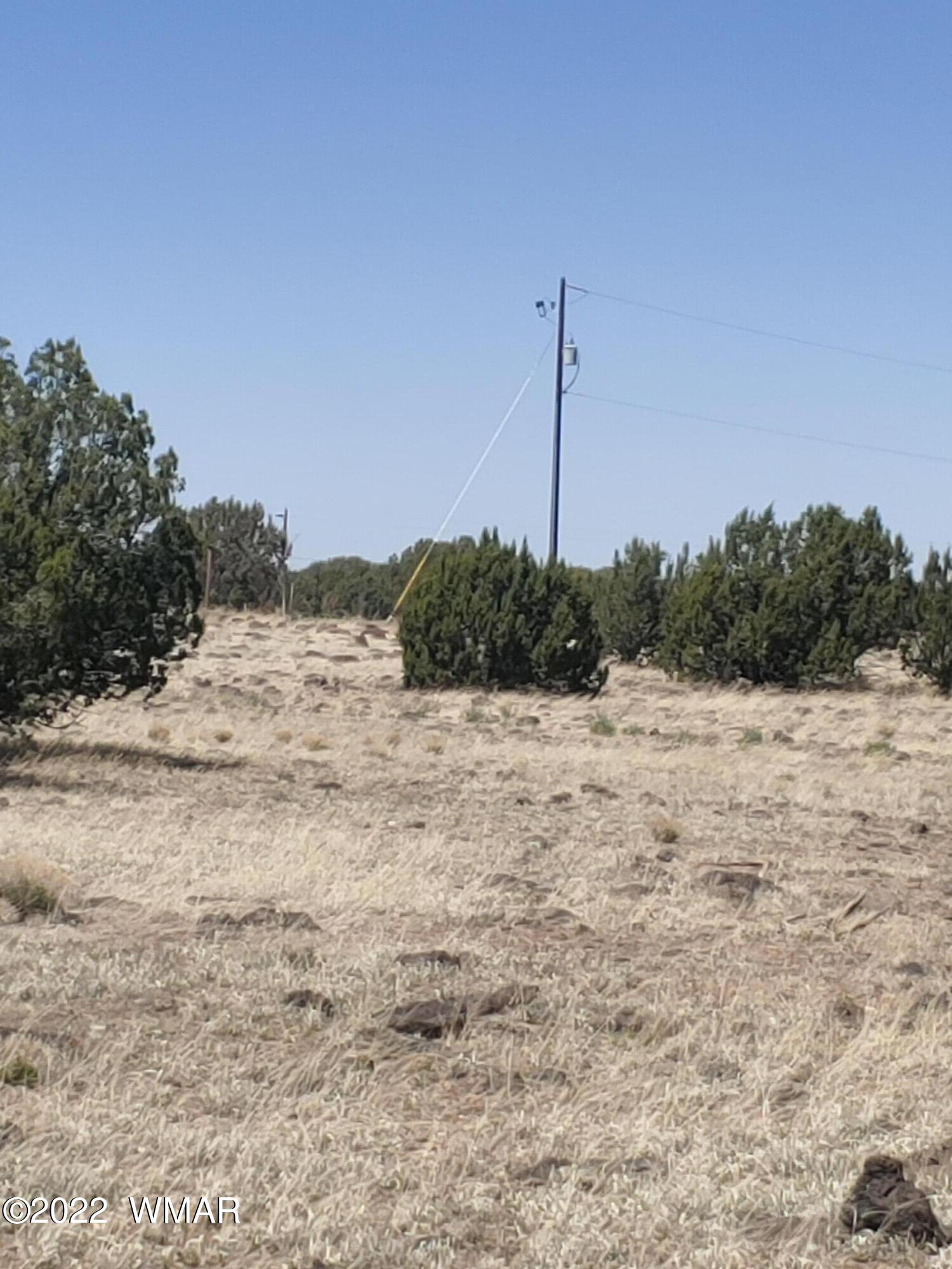 Tbd Weber Way Show Low, AZ 85901 - Photo 10 of 19