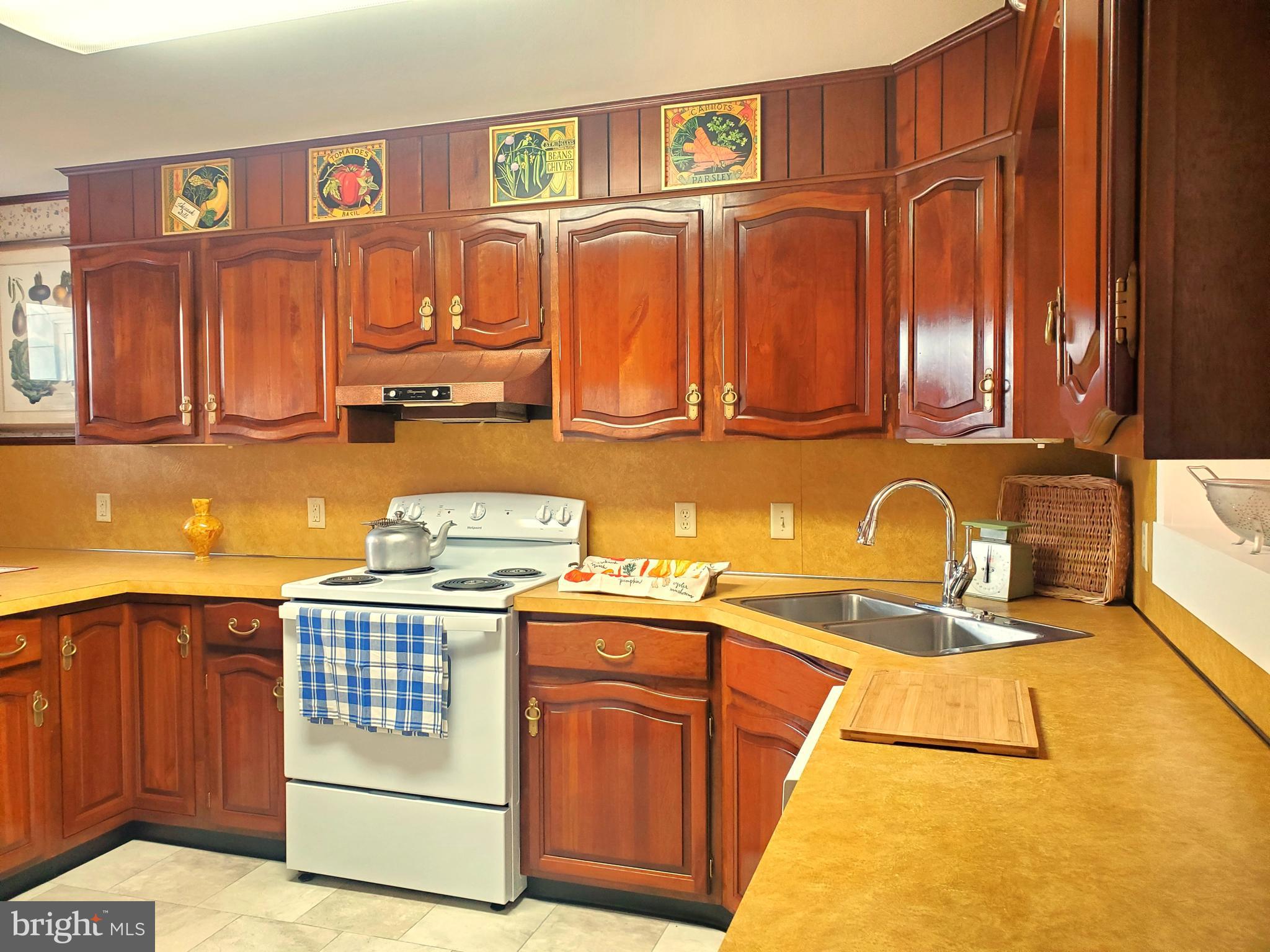 11 Rene Carr Street Elkton, MD 21921 - Photo 10 of 35 Gallery Image 10