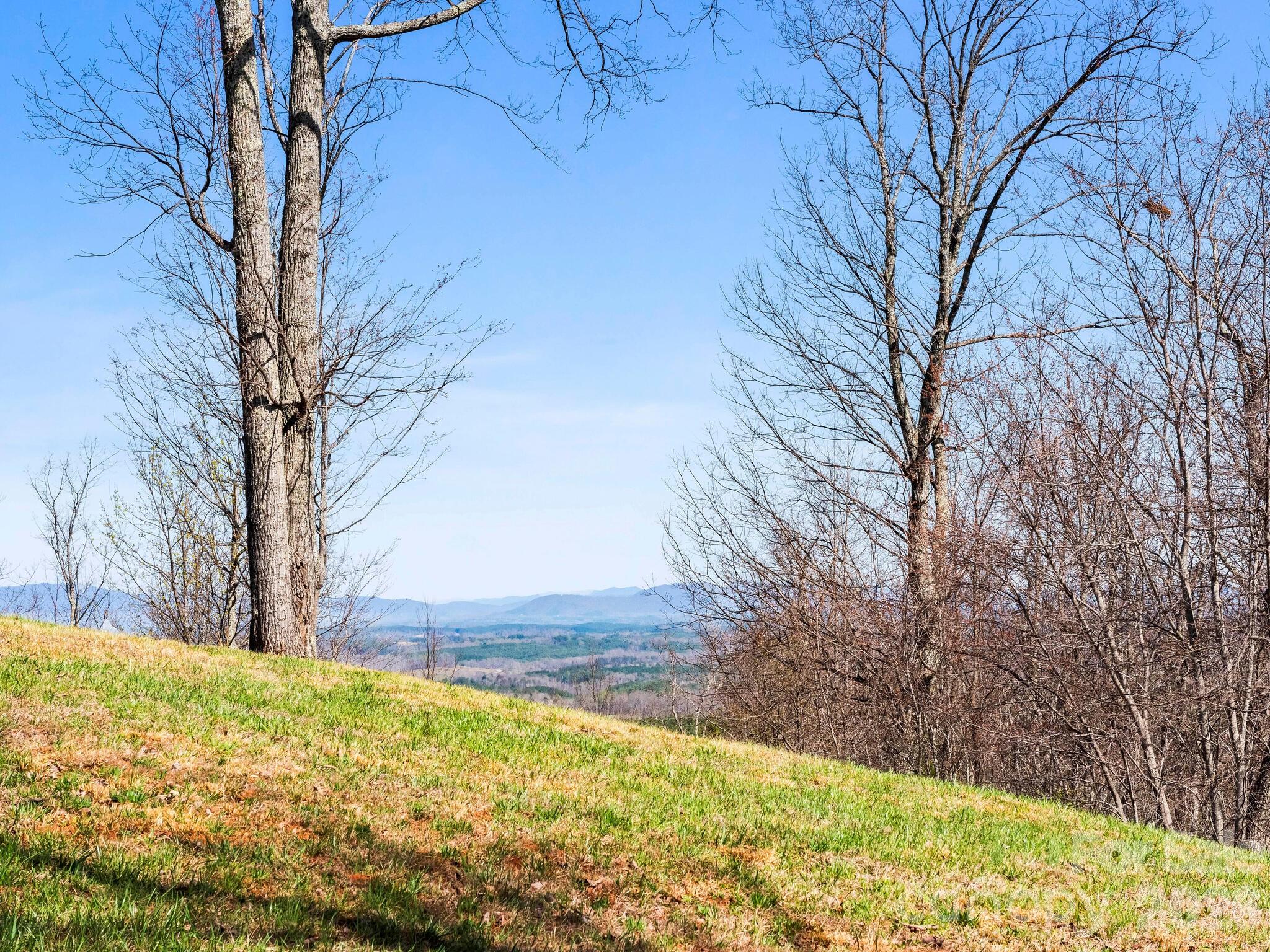 25 Preservation Trail Tryon, NC 28782 - Photo 15 of 42