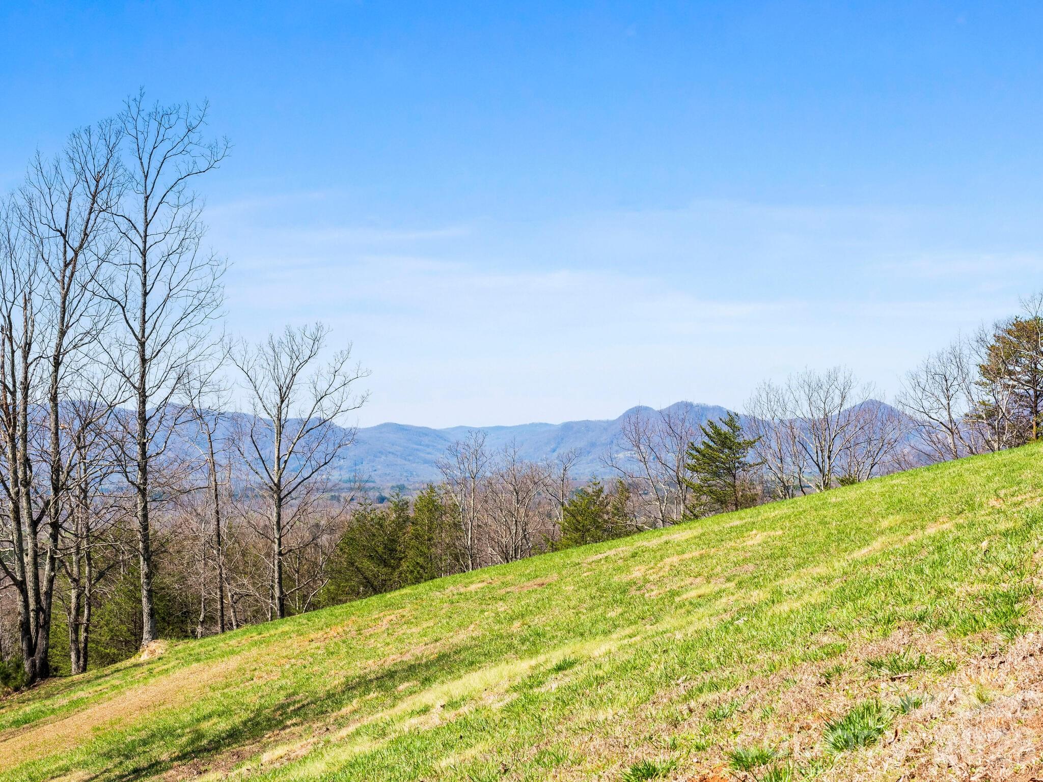 25 Preservation Trail Tryon, NC 28782 - Photo 16 of 42