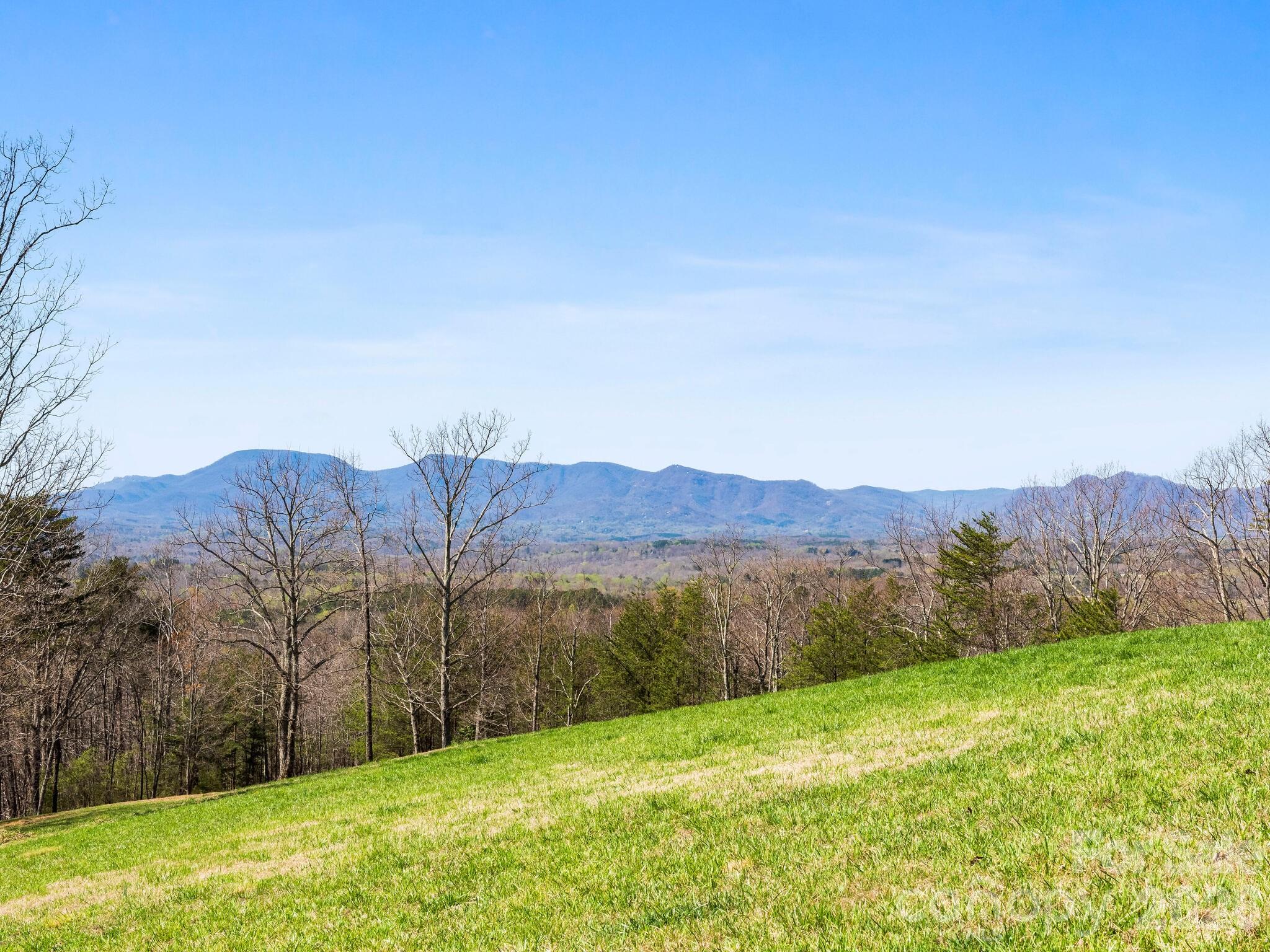 25 Preservation Trail Tryon, NC 28782 - Photo 17 of 42