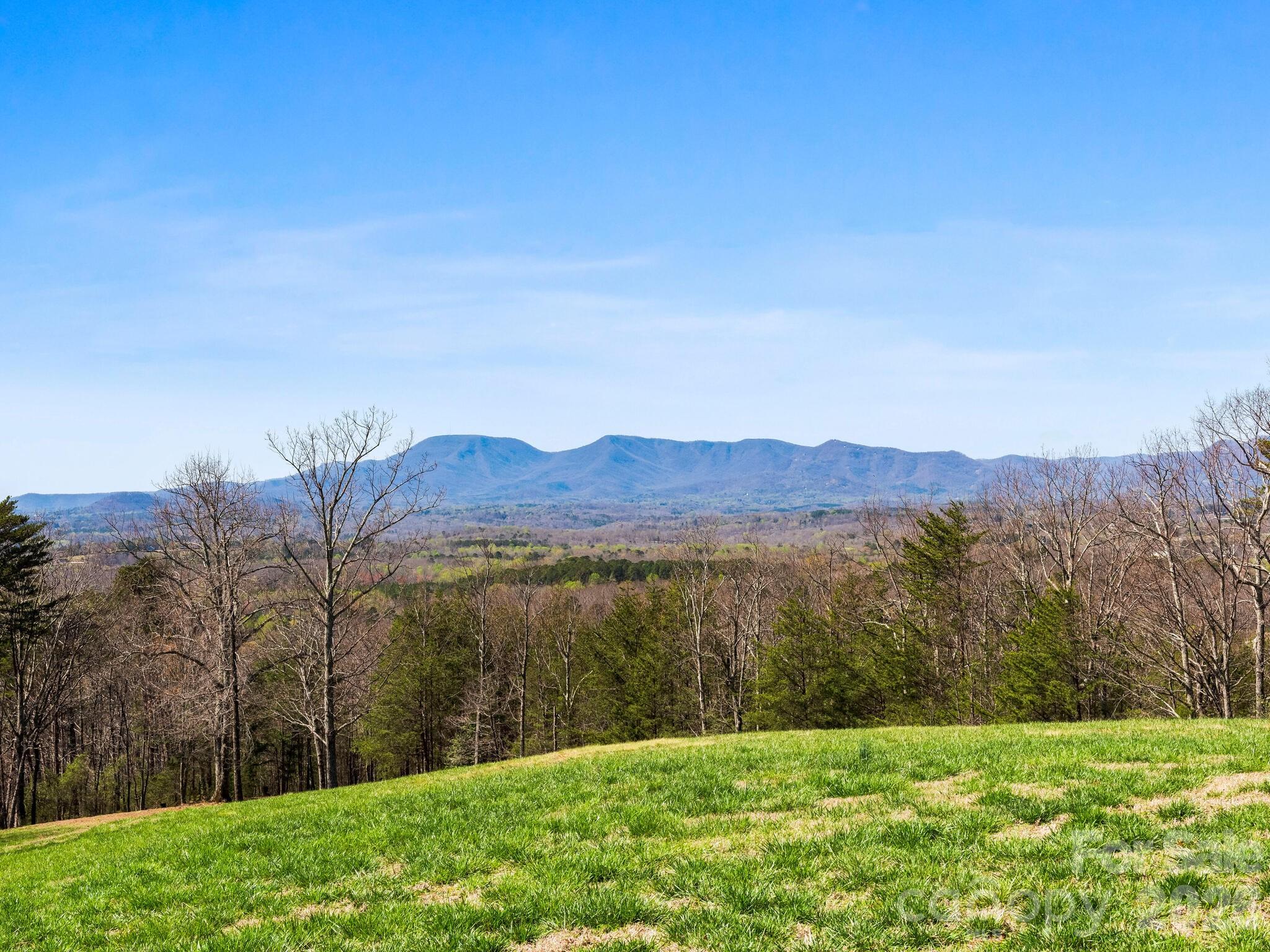 25 Preservation Trail Tryon, NC 28782 - Photo 18 of 42