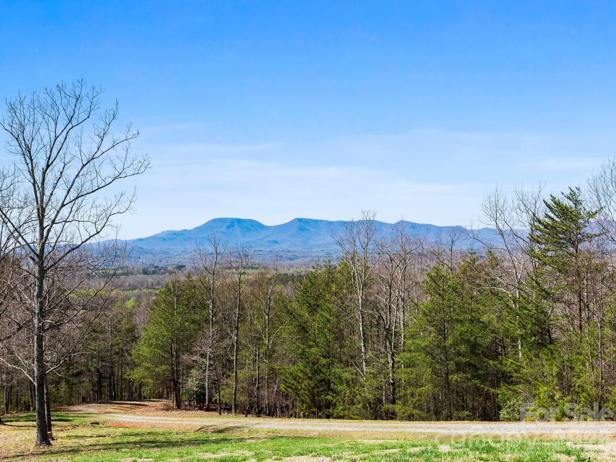 25 Preservation Trail Tryon, NC 28782 - Photo 19 of 42