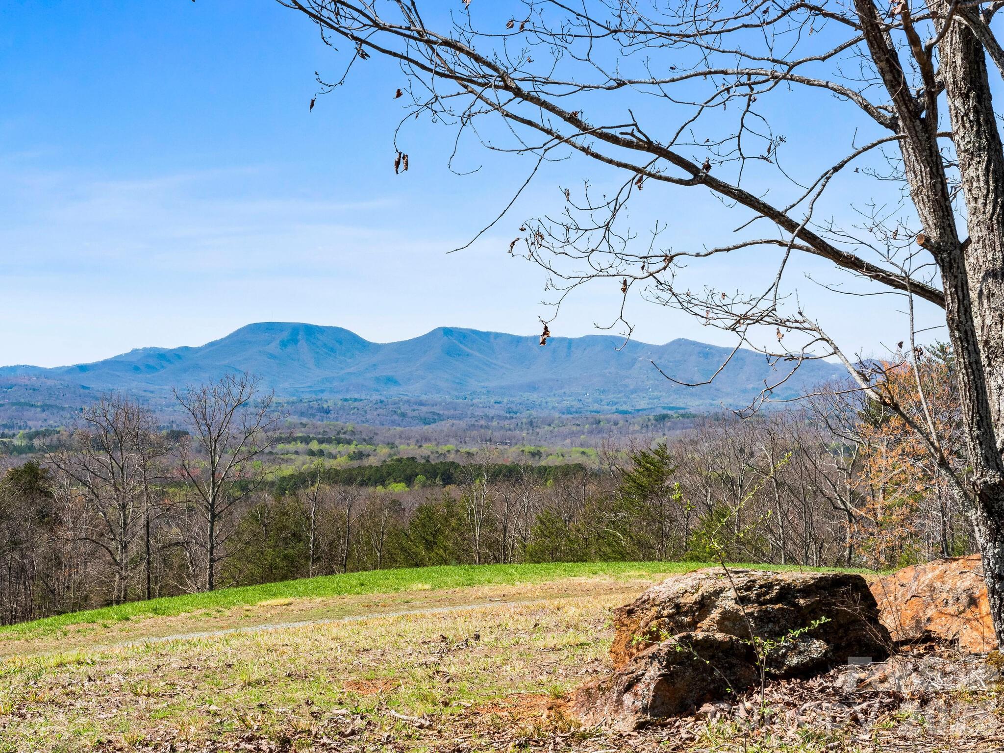25 Preservation Trail Tryon, NC 28782 - Photo 21 of 42