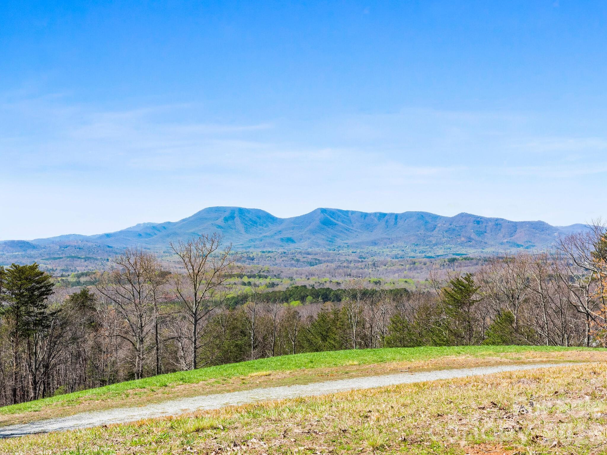 25 Preservation Trail Tryon, NC 28782 - Photo 22 of 42