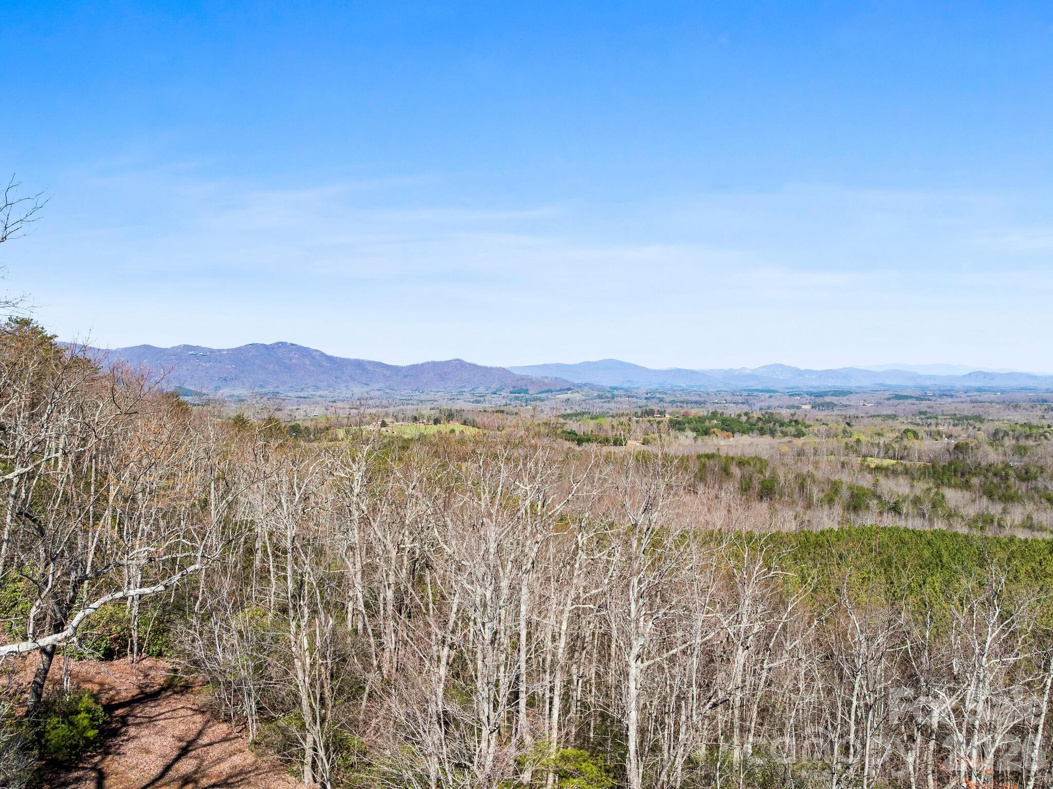 25 Preservation Trail Tryon, NC 28782 - Photo 27 of 42
