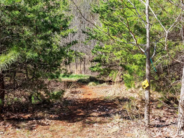 $1,200,000 | 25 Preservation Trail, Tryon, NC 28782