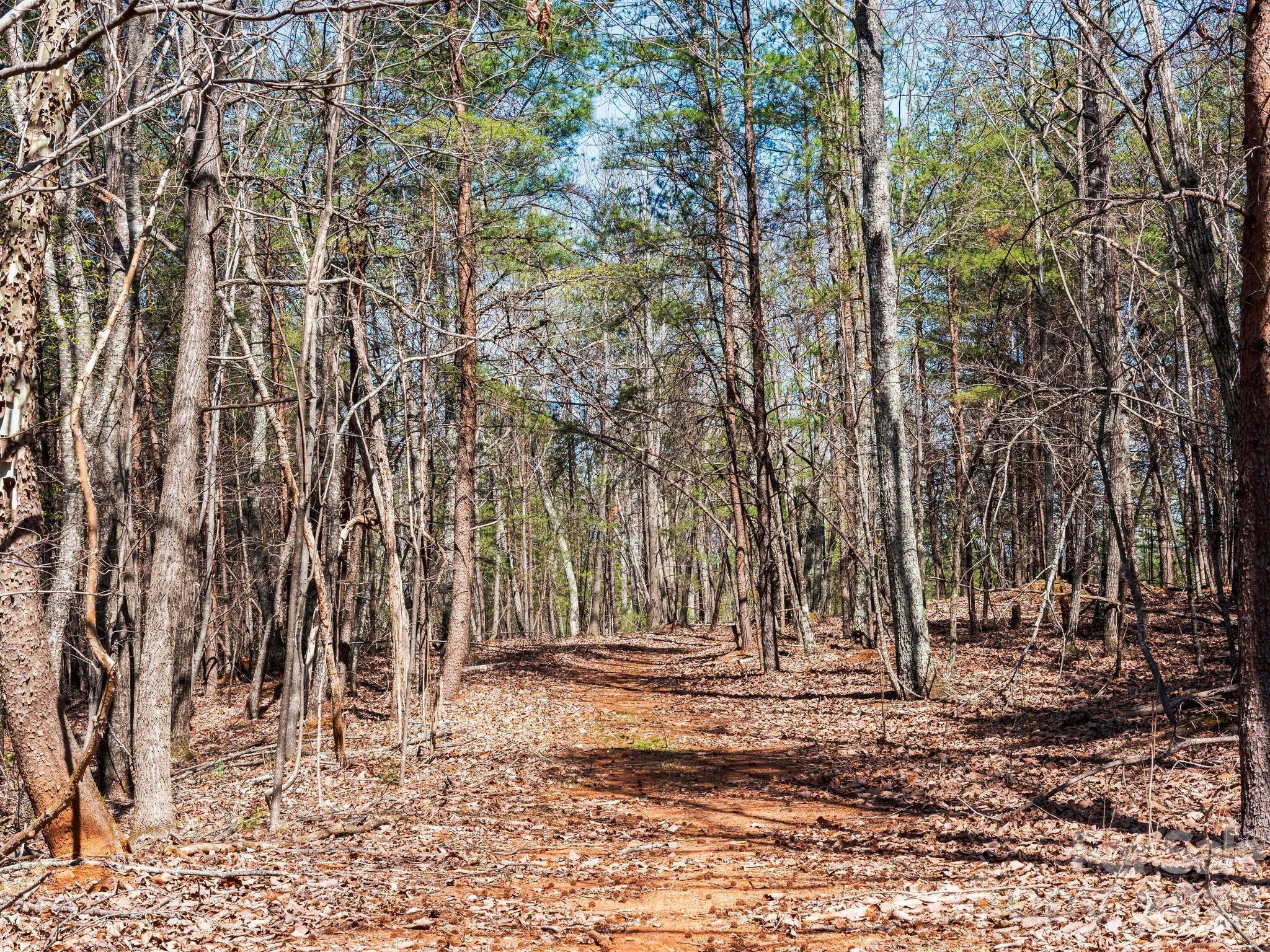 25 Preservation Trail Tryon, NC 28782 - Photo 32 of 42