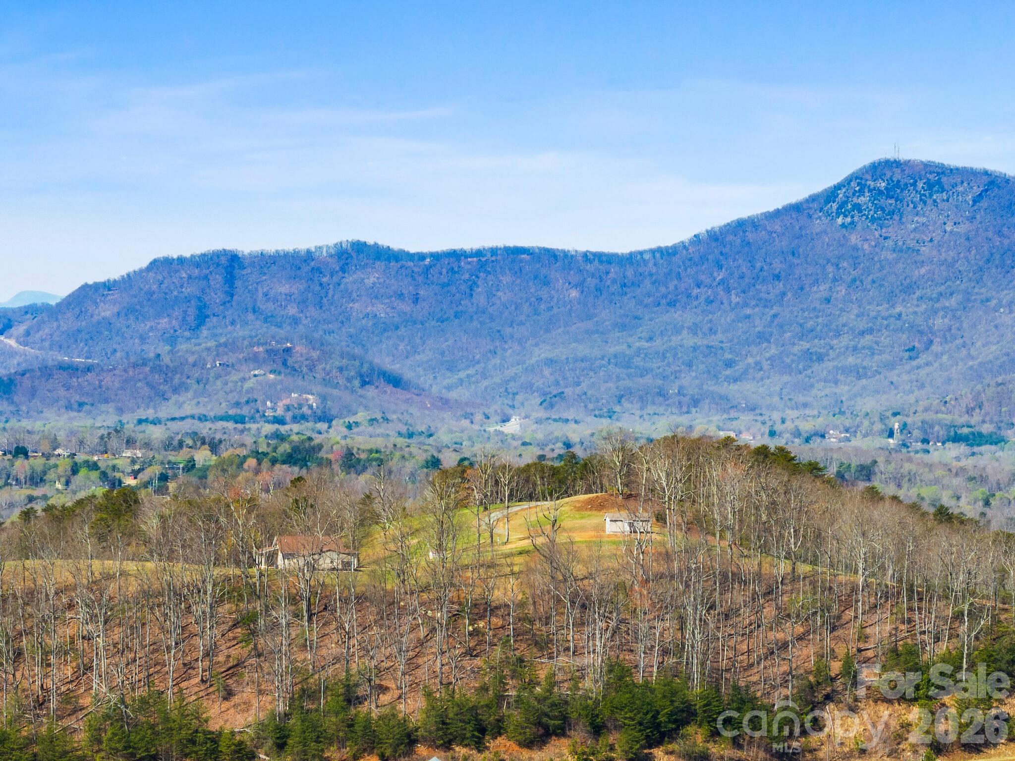 25 Preservation Trail Tryon, NC 28782 - Photo 41 of 42