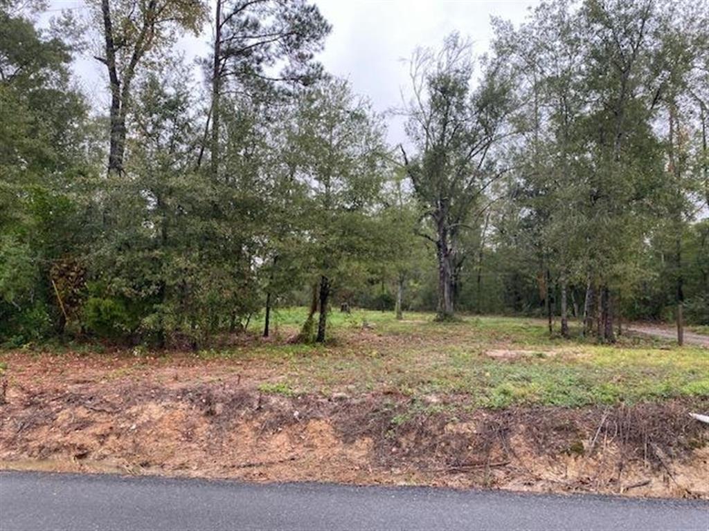 3058 Smith Ferry Road Westlake, LA 70669 - Photo 2 of 4