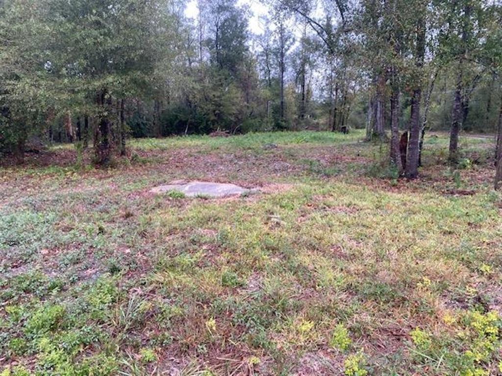 3058 Smith Ferry Road Westlake, LA 70669 - Photo 3 of 4