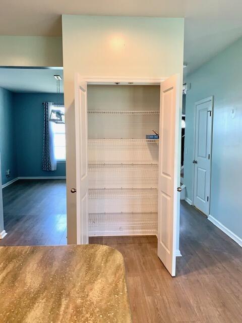 3038 Gulfstream Lane Ridgeville, SC 29472 - Photo 8 of 24 Pantry