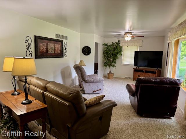 40309 Alden Road Belleville, MI 48111 - Photo 6 of 53 Gallery Image 6