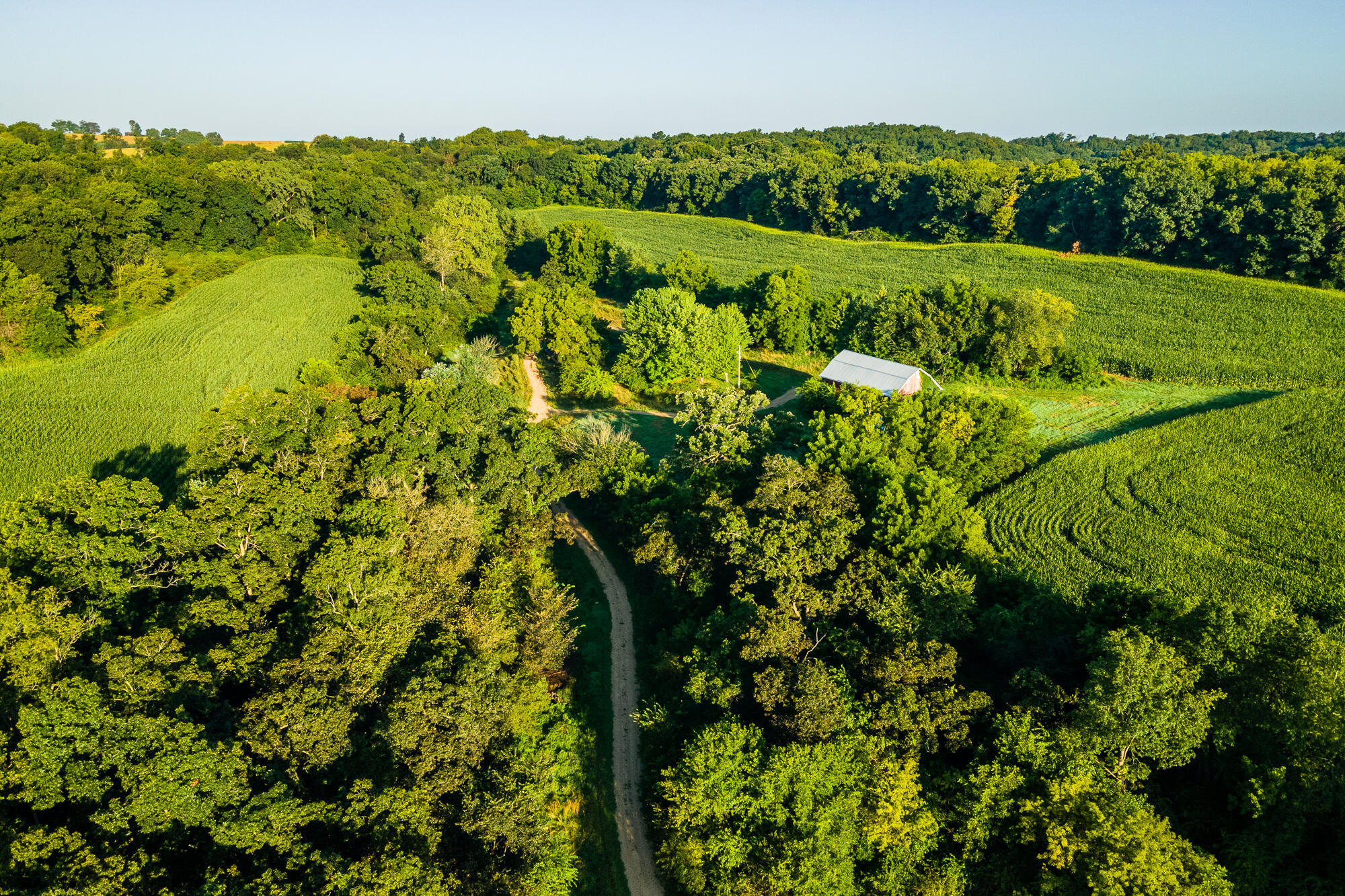 5292 Stenner Hill Road Marion, WI 53805 - Photo 12 of 69 Grant-County-WI-155-Acres-Land-For-Sale-
