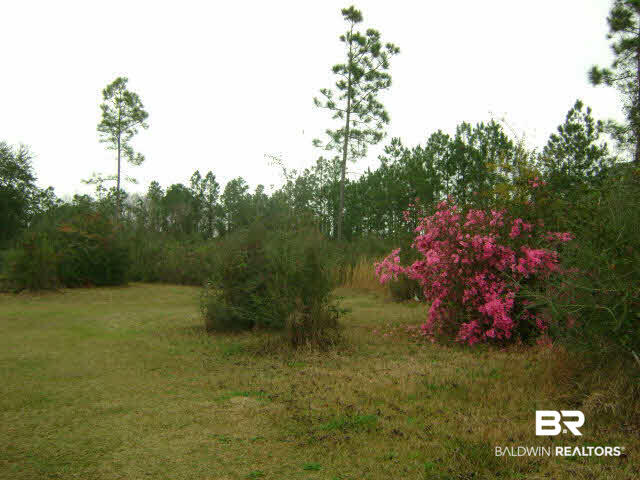 29461 Archie Road Elberta, AL 36530 - Photo 1 of 1 Gallery Image 1