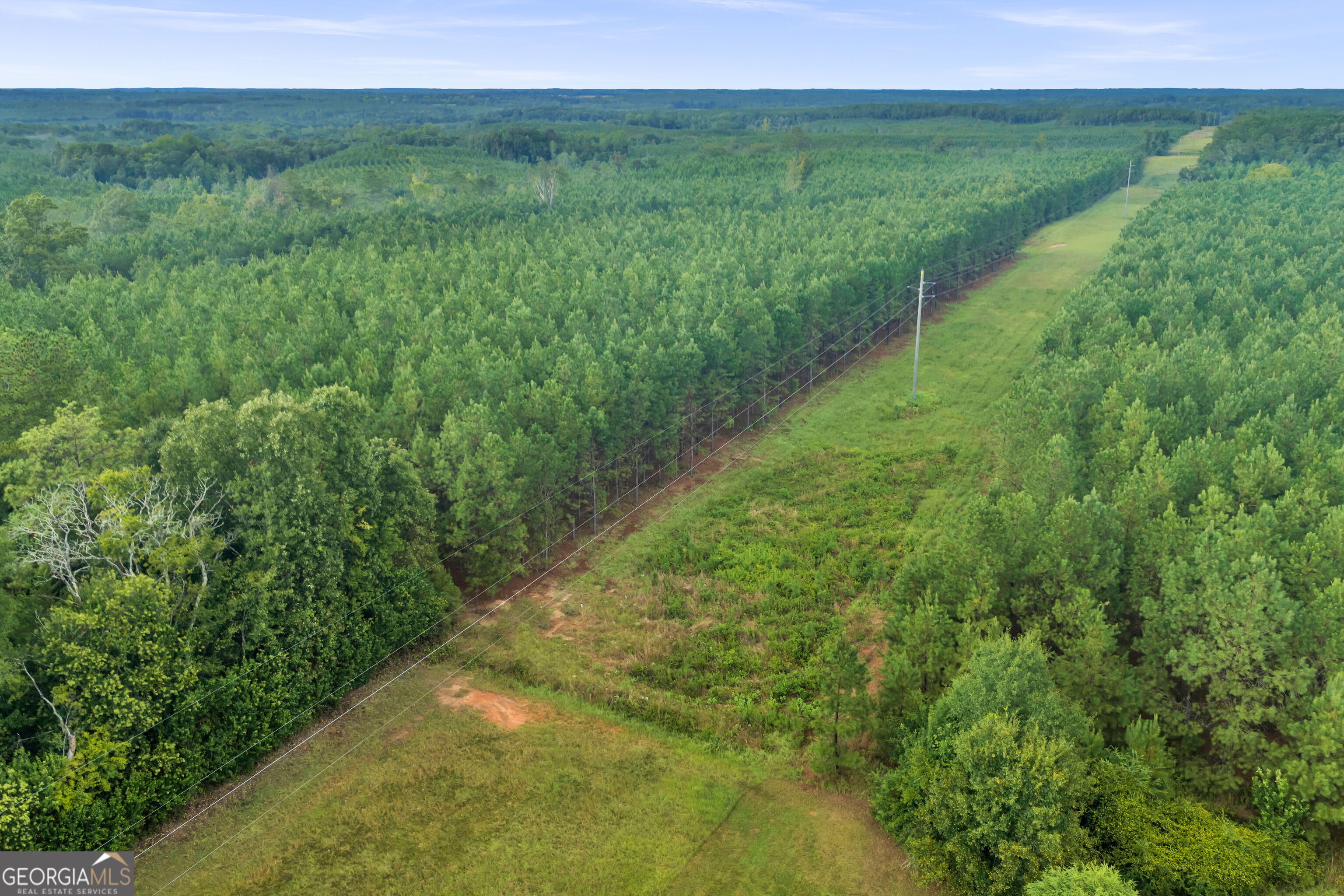 235 Mt Hebron Road Coleman, GA 39836 - Photo 68 of 82 Gallery Image 68