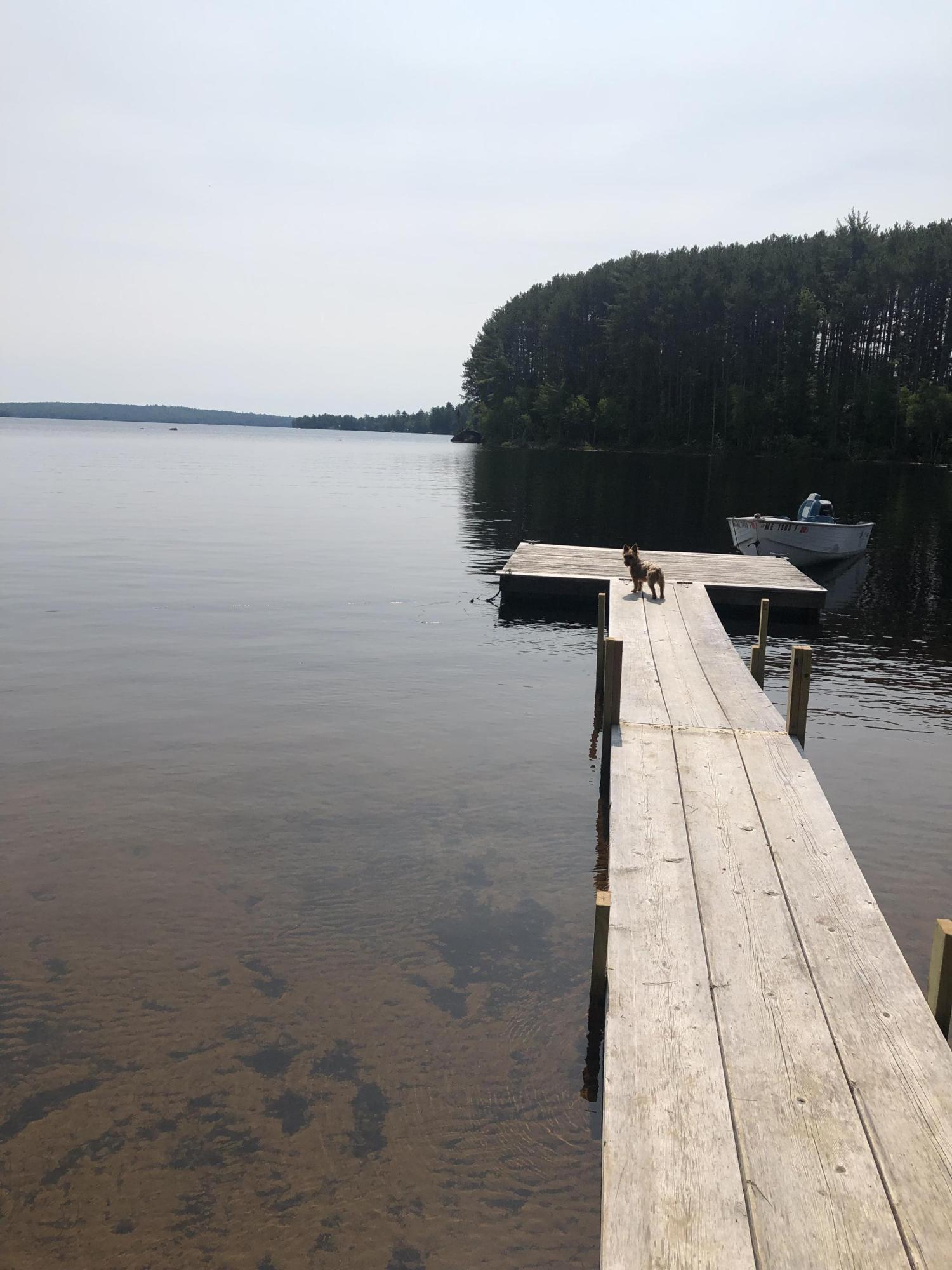 2964 Turkey Tail Road Millinocket, ME 04462 - Photo 4 of 24 Wood dock