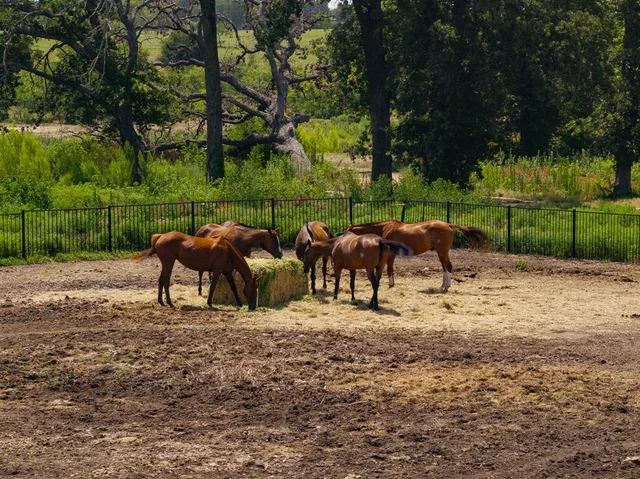 $475,000 | 311 Martingale Trail, Oak Point, TX 75068