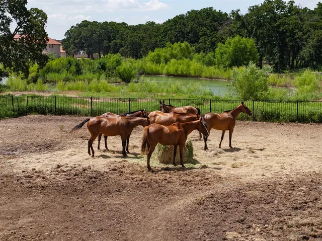 $475,000 | 311 Martingale Trail, Oak Point, TX 75068