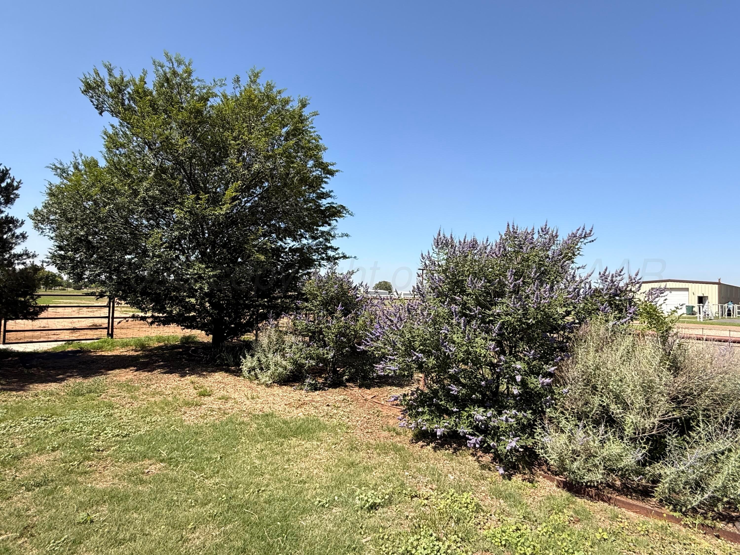 8917 Dove Road Canyon, TX 79015 - Photo 23 of 40 Landscape
