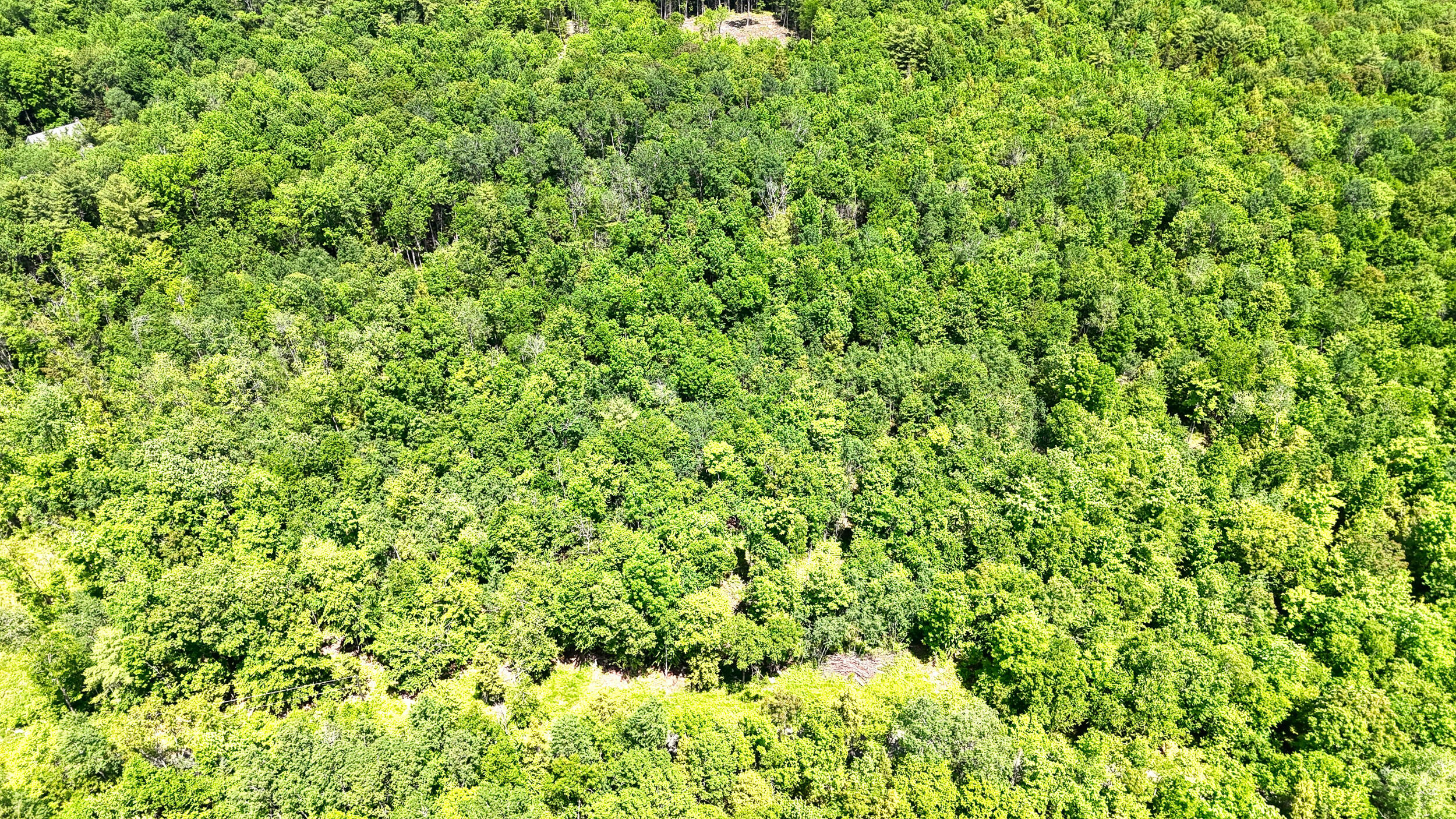 0 Macomber Road Readfield, ME 04355 - Photo 22 of 61 149-Z4LWJYW--DP-109