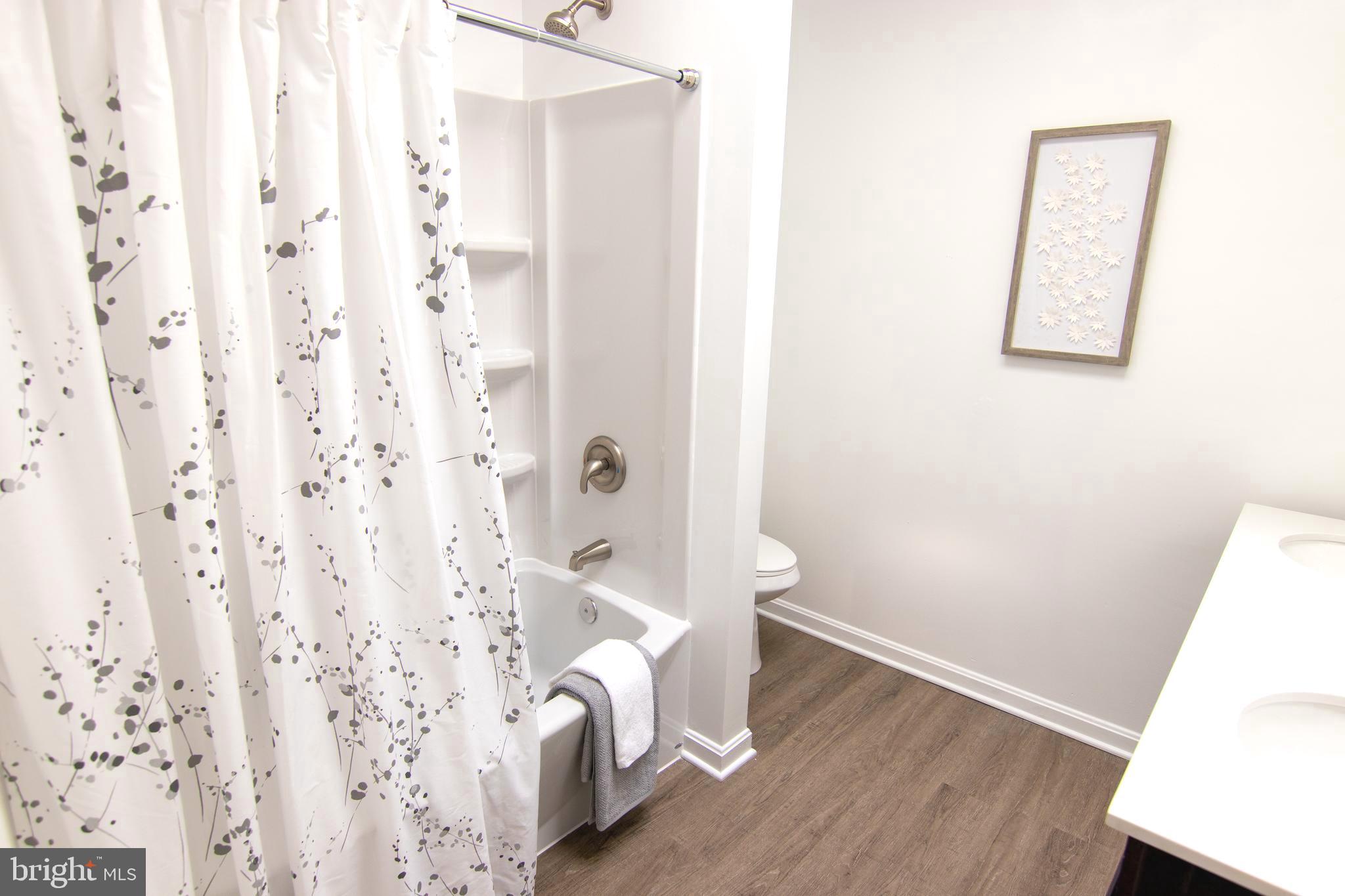 2939 Fry Road Jefferson, MD 21755 - Photo 17 of 31 Brand New Master Bathroom with 2 Skylights!