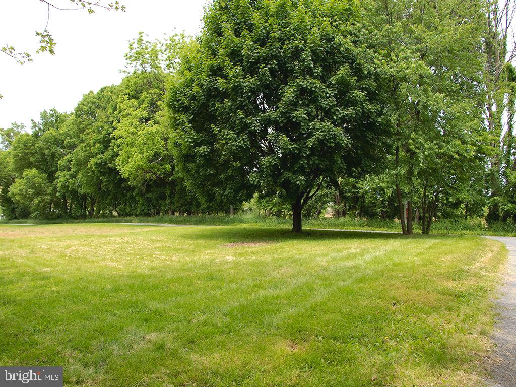2939 Fry Road Jefferson, MD 21755 - Photo 25 of 31 More than 6 gorgeous acres!