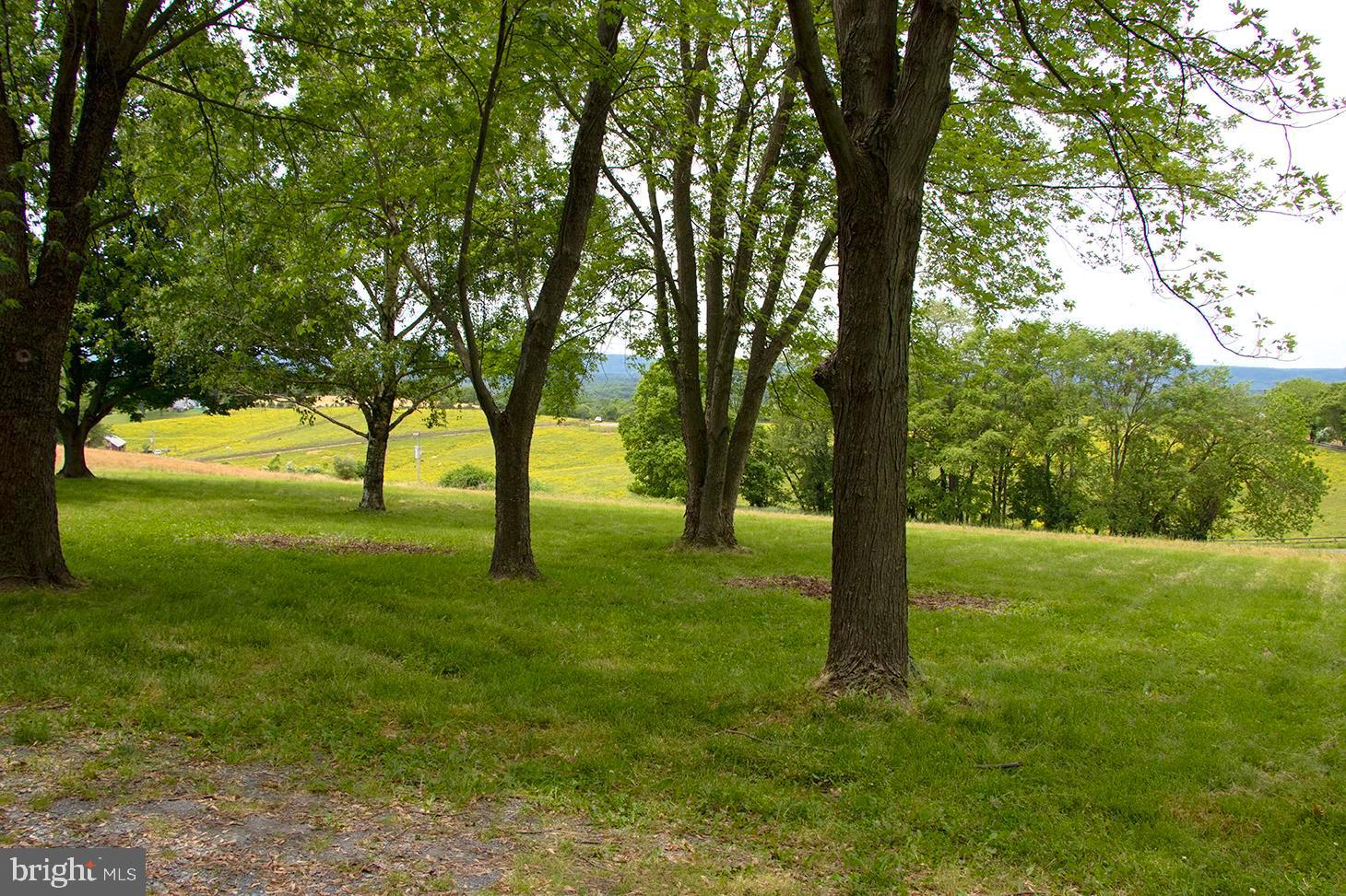 2939 Fry Road Jefferson, MD 21755 - Photo 27 of 31