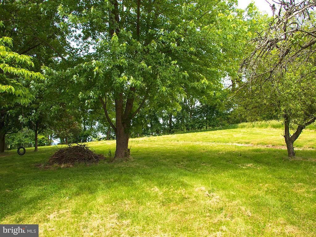 2939 Fry Road Jefferson, MD 21755 - Photo 28 of 31 Gorgeous Private Setting