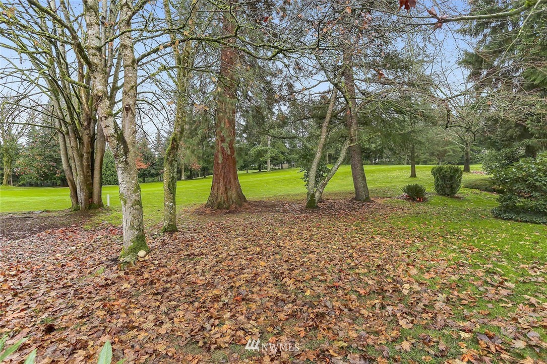 14811 Southeast 172nd Place Renton, WA 98058 - Photo 20 of 24 a view of park with small trees