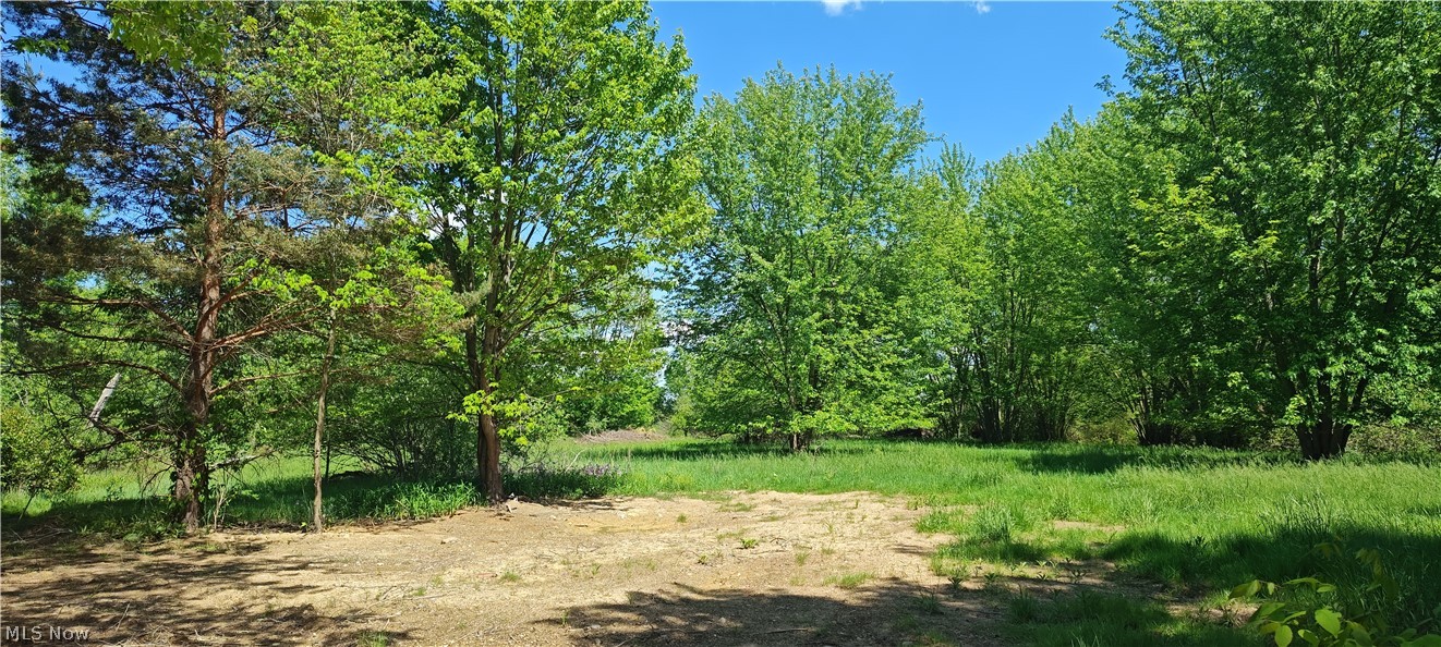 10565 Springfield Road Youngstown, OH 44514 - Photo 11 of 11 Gallery Image 11