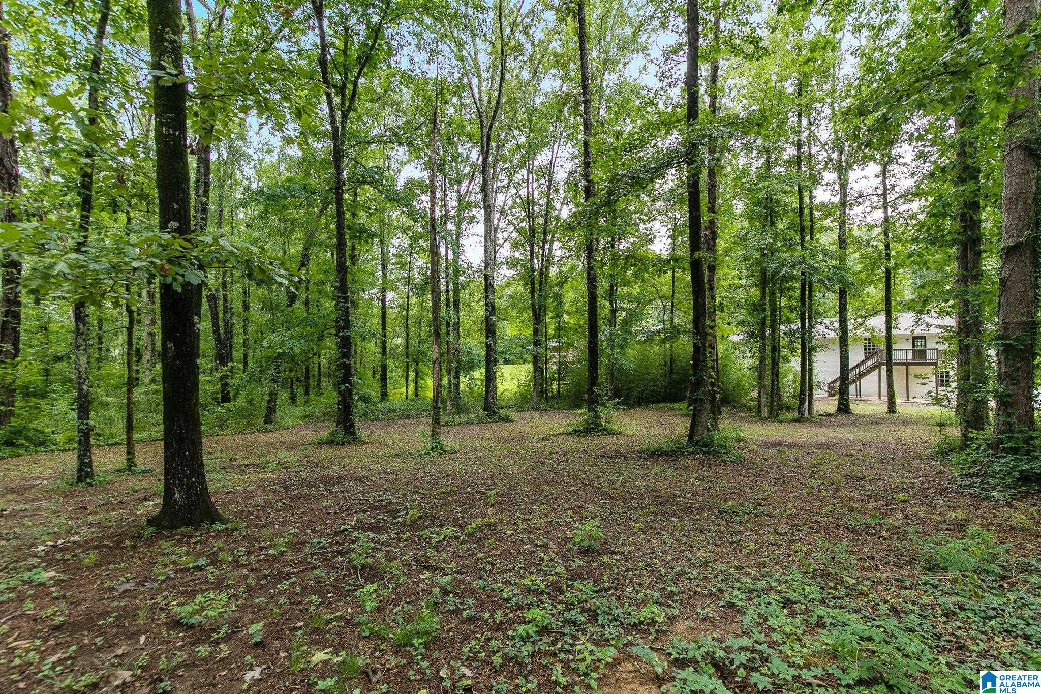 3009 Virginia Drive Bessemer, AL 35023 - Photo 33 of 33