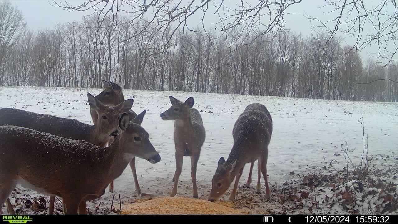 0 North Butler Liberty Road Butler, OH 44822 - Photo 5 of 47 Attachment