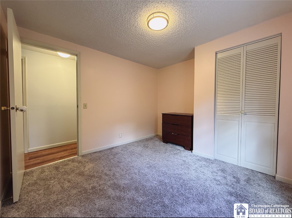 3797 Bard Road Pomfret, NY 14718 - Photo 24 of 40