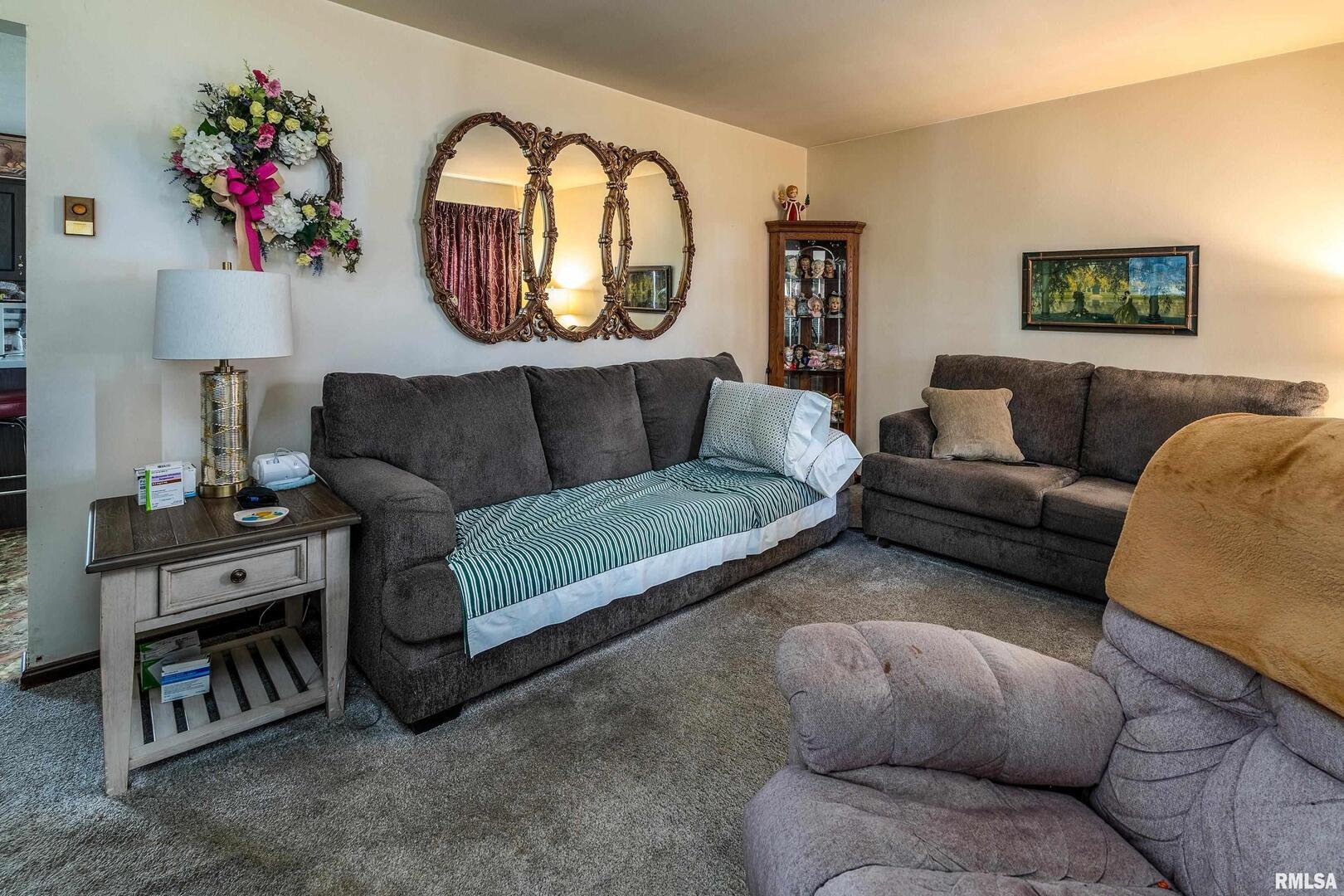 16768 Boundary Road Creal Springs, IL 62922 - Photo 4 of 21 a living room with furniture and a mirror