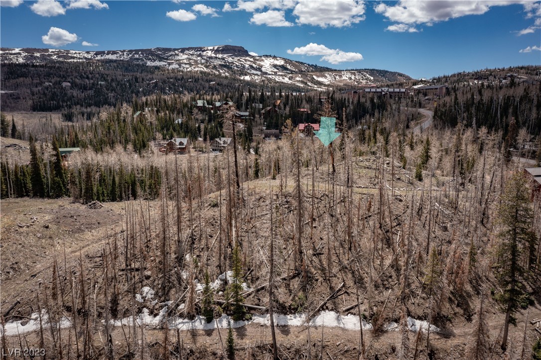 270 West Bobcat Road Brian Head, UT 84719 - Photo 12 of 31