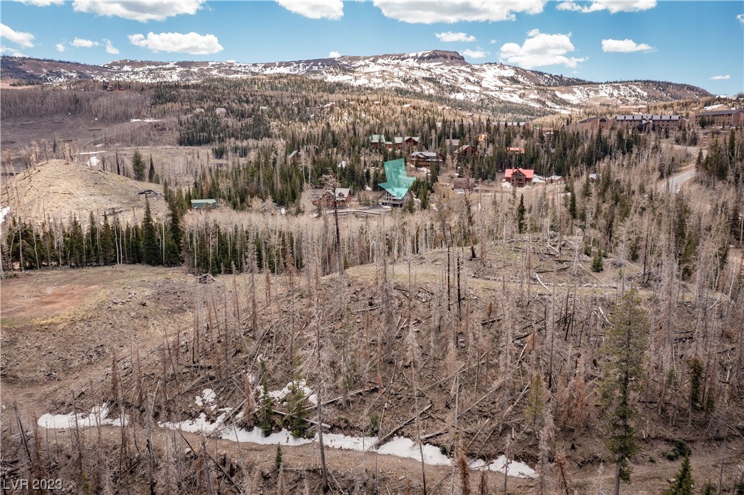 270 West Bobcat Road Brian Head, UT 84719 - Photo 21 of 31