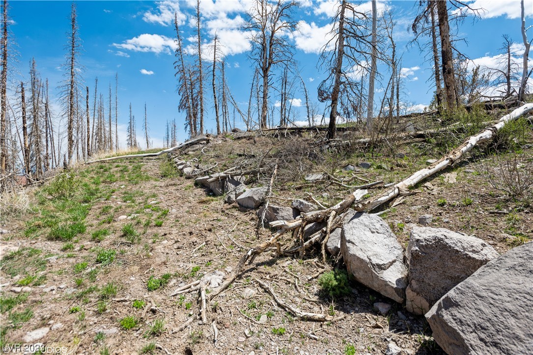 270 West Bobcat Road Brian Head, UT 84719 - Photo 22 of 31