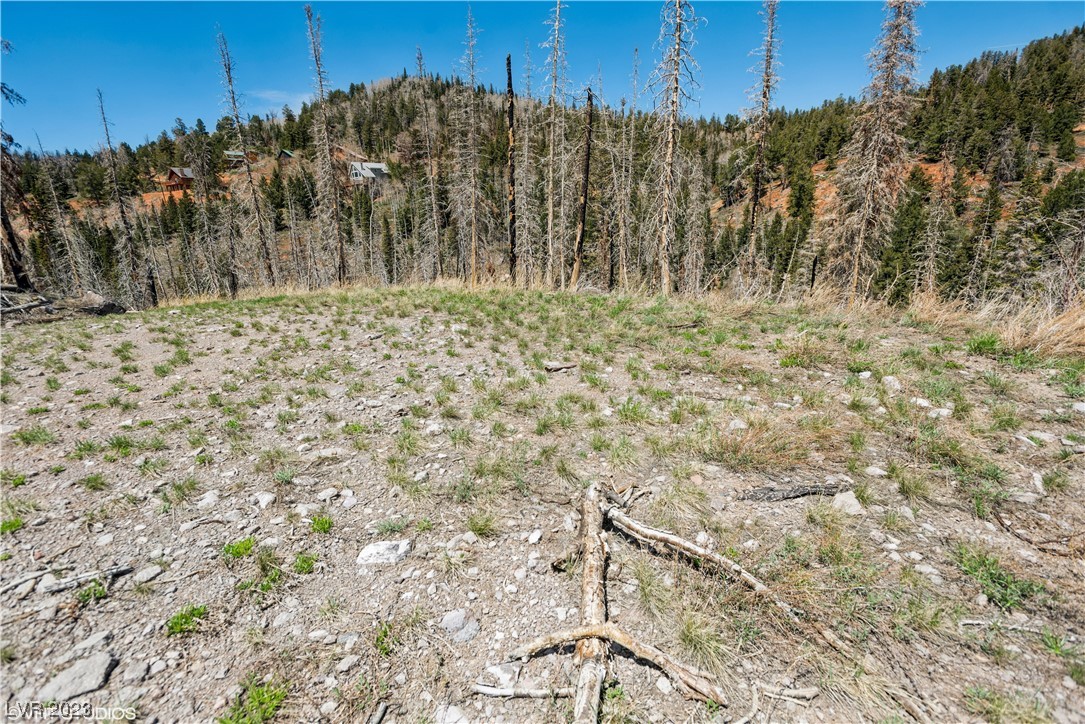 270 West Bobcat Road Brian Head, UT 84719 - Photo 25 of 31