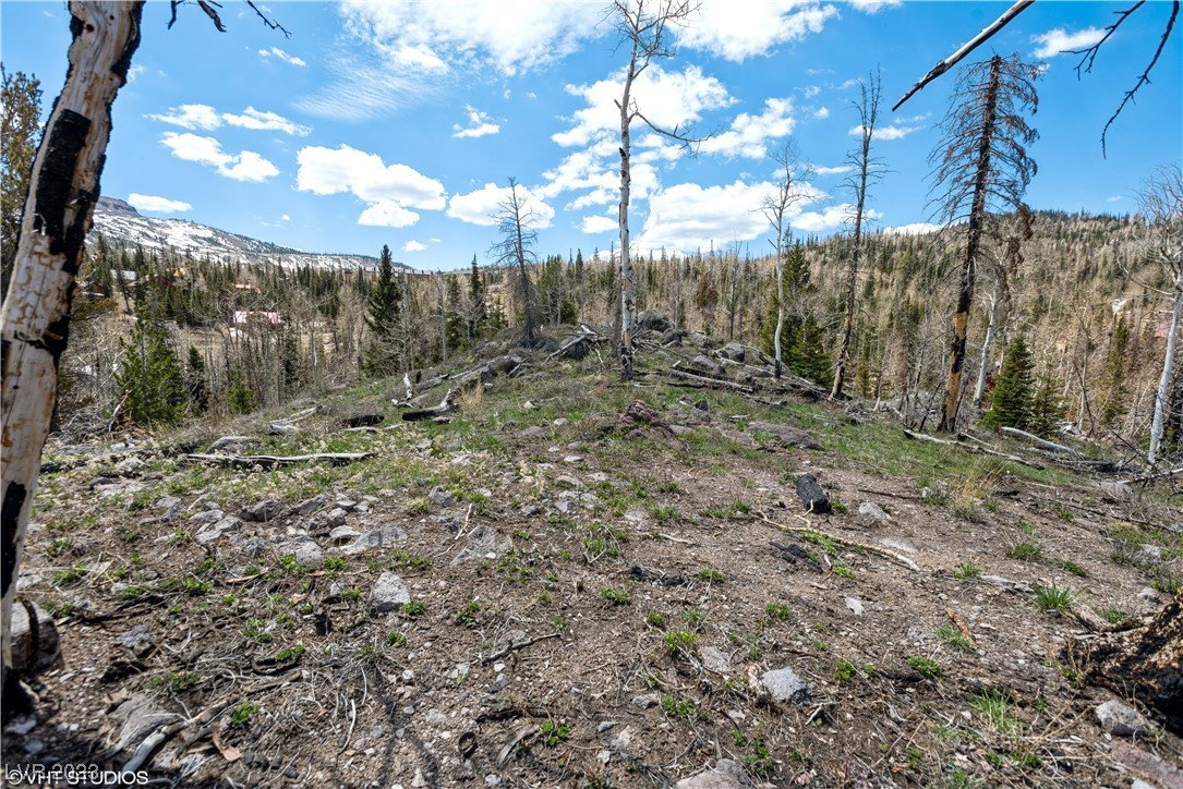 270 West Bobcat Road Brian Head, UT 84719 - Photo 26 of 31